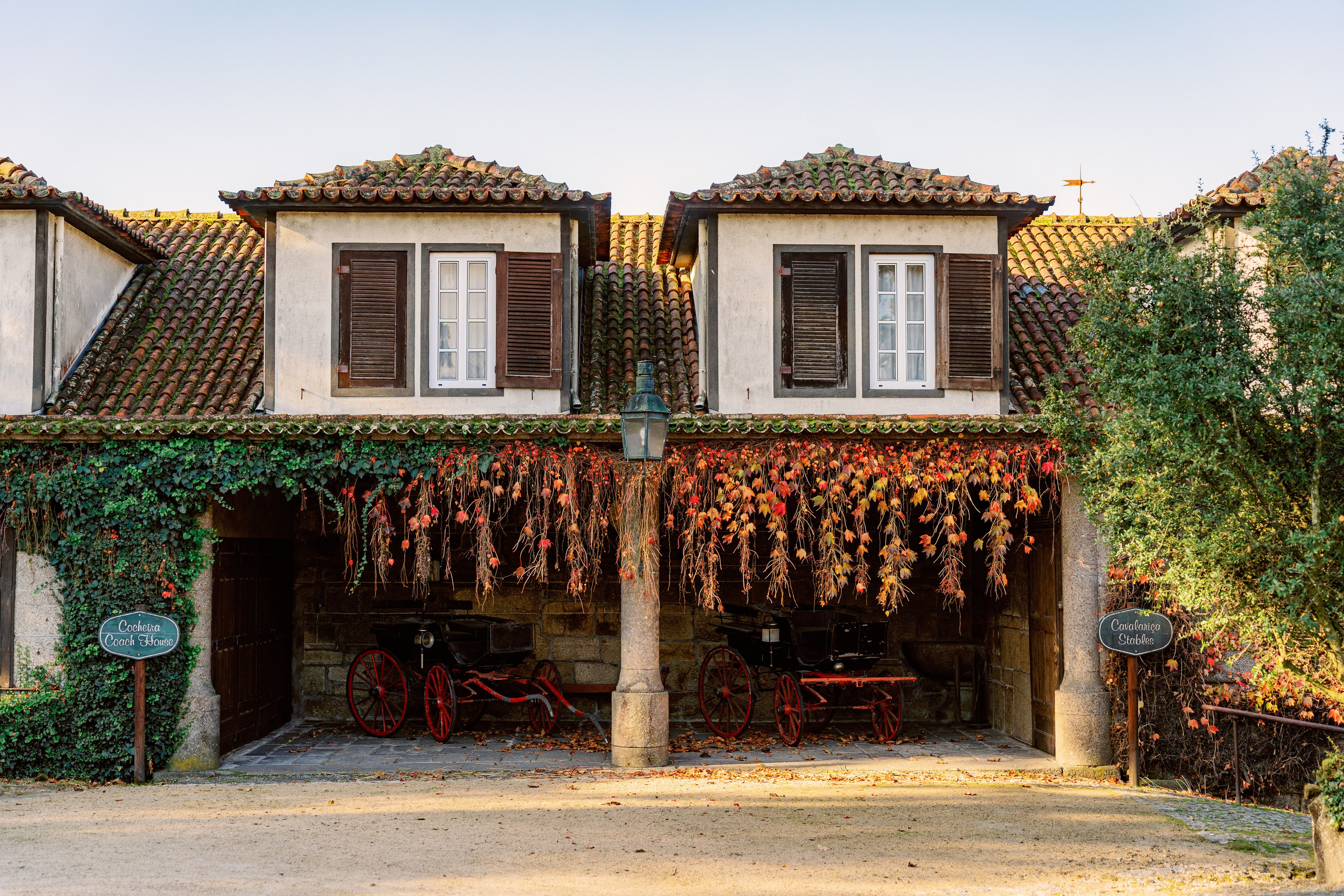 Винью Верде