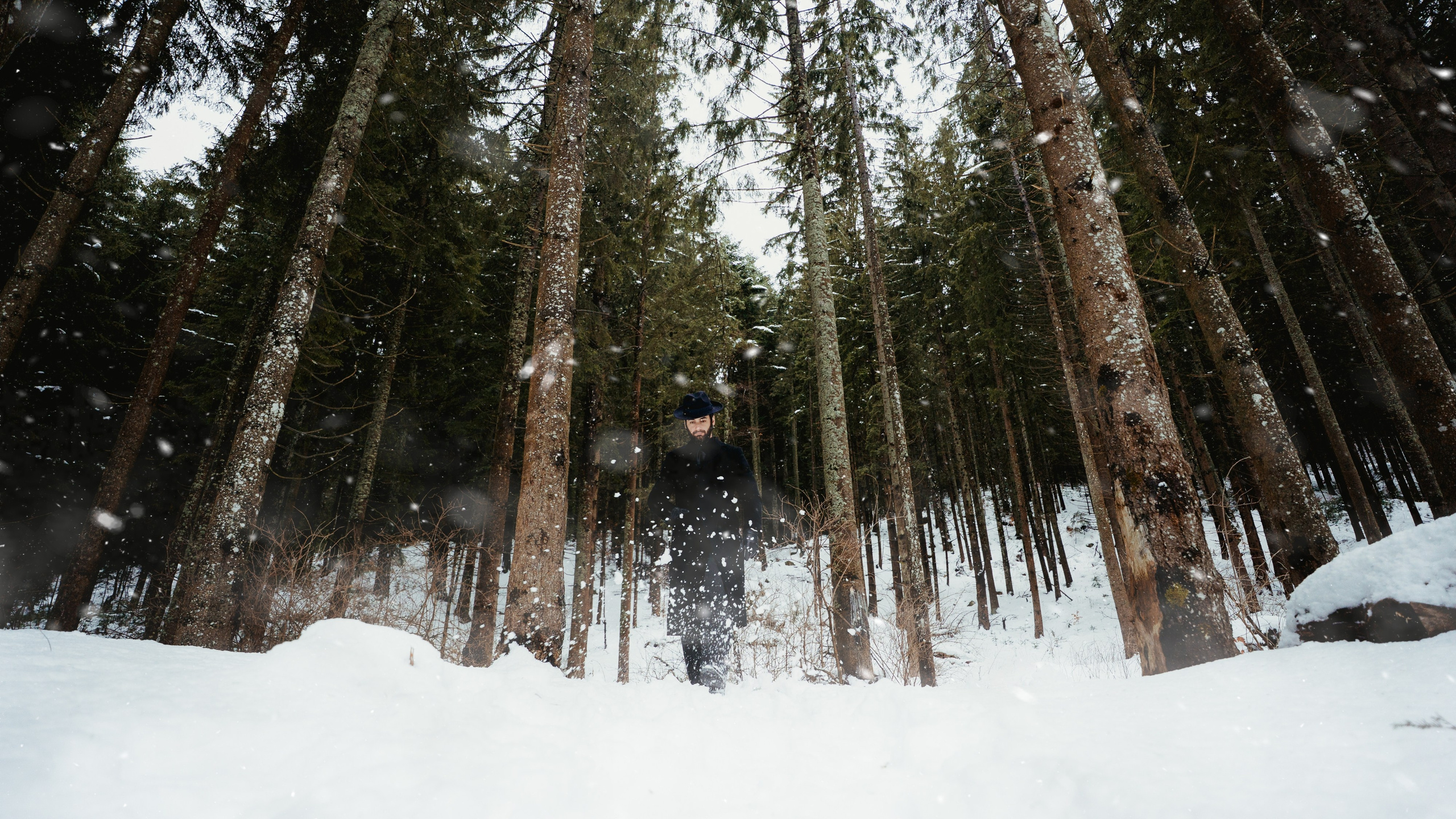 Dragos Dumitru. Cosminvirlan.ro