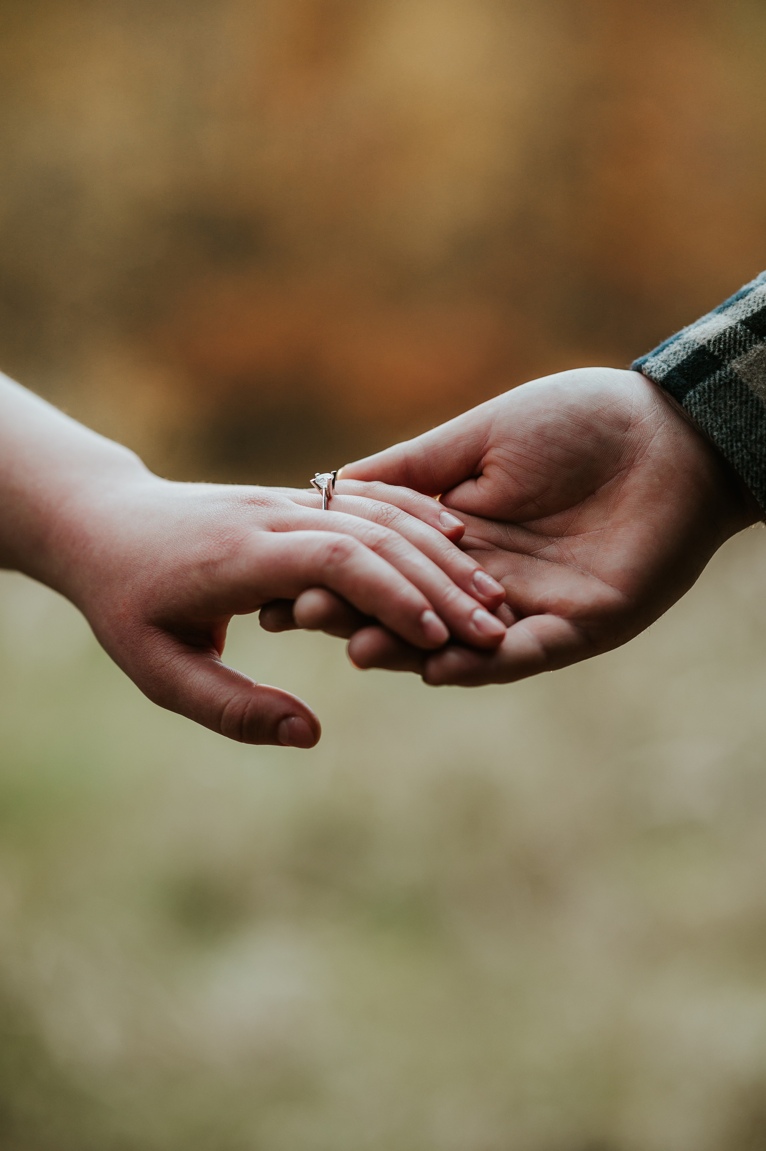 Sesiune foto langa Radauti