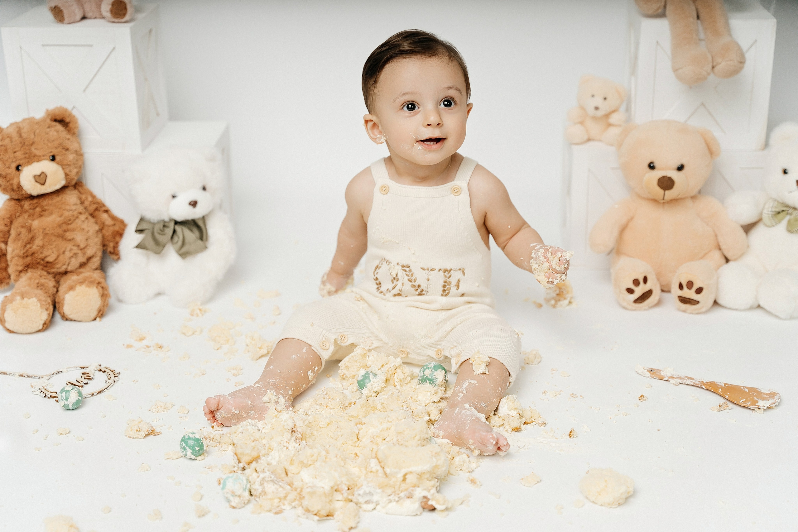 Teddy Bear One Year Cake Smash Photos. Newborn and family photographer. Hills District. Sydney