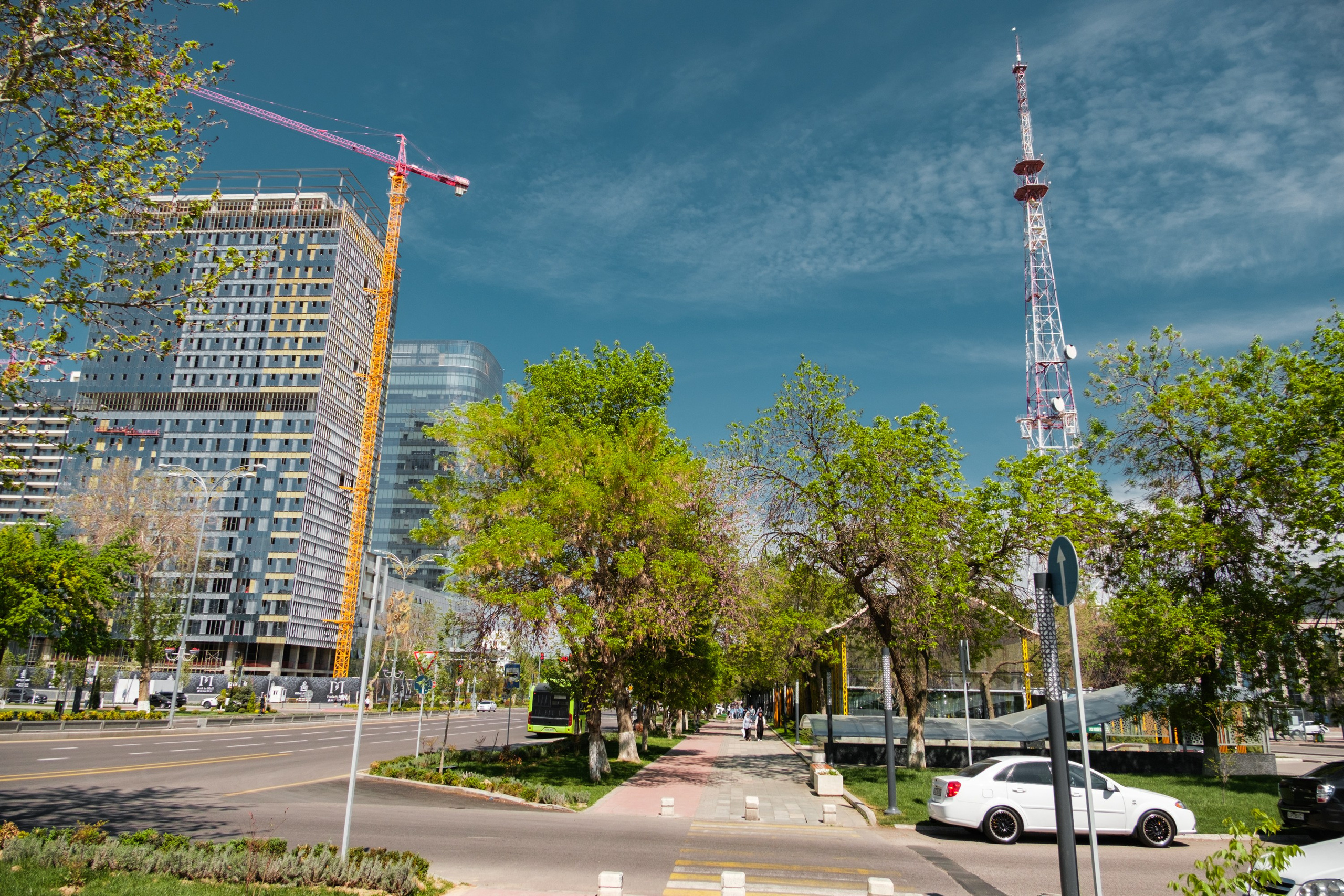 Обзор на объектив 16-300мм Sigma. Личные впечатления и опыт использования. Фотограф Григорий Кравец