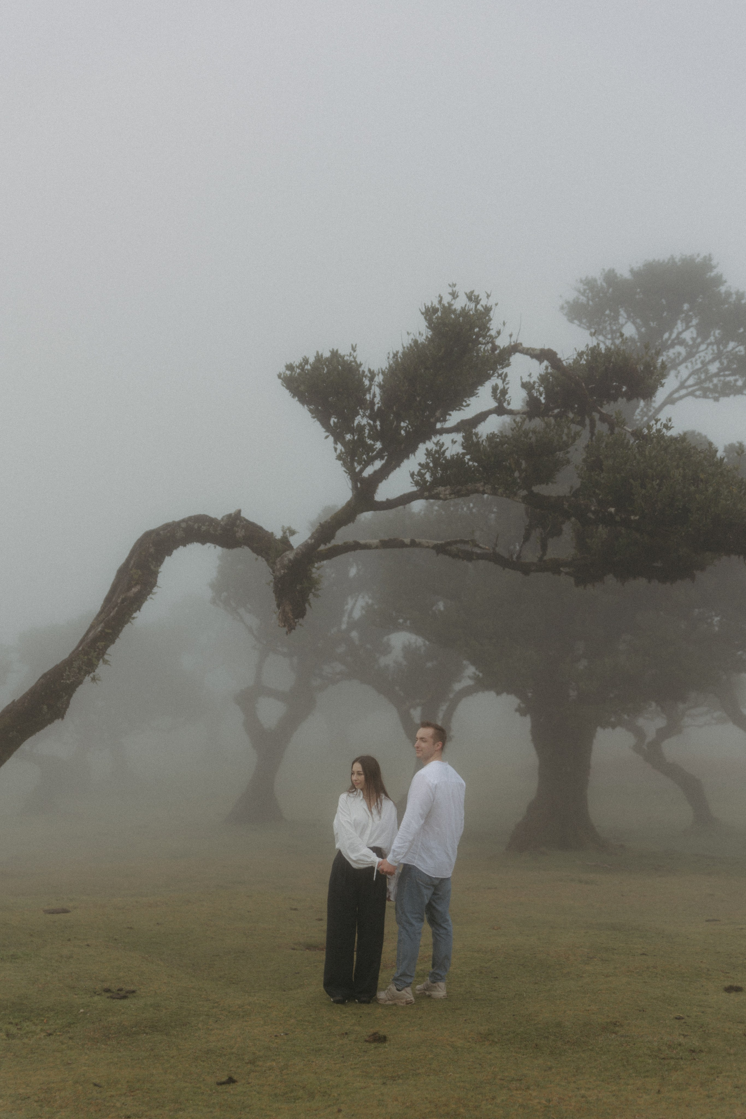 Couple shoot in Madeira’s ancient Laurisilva forest
