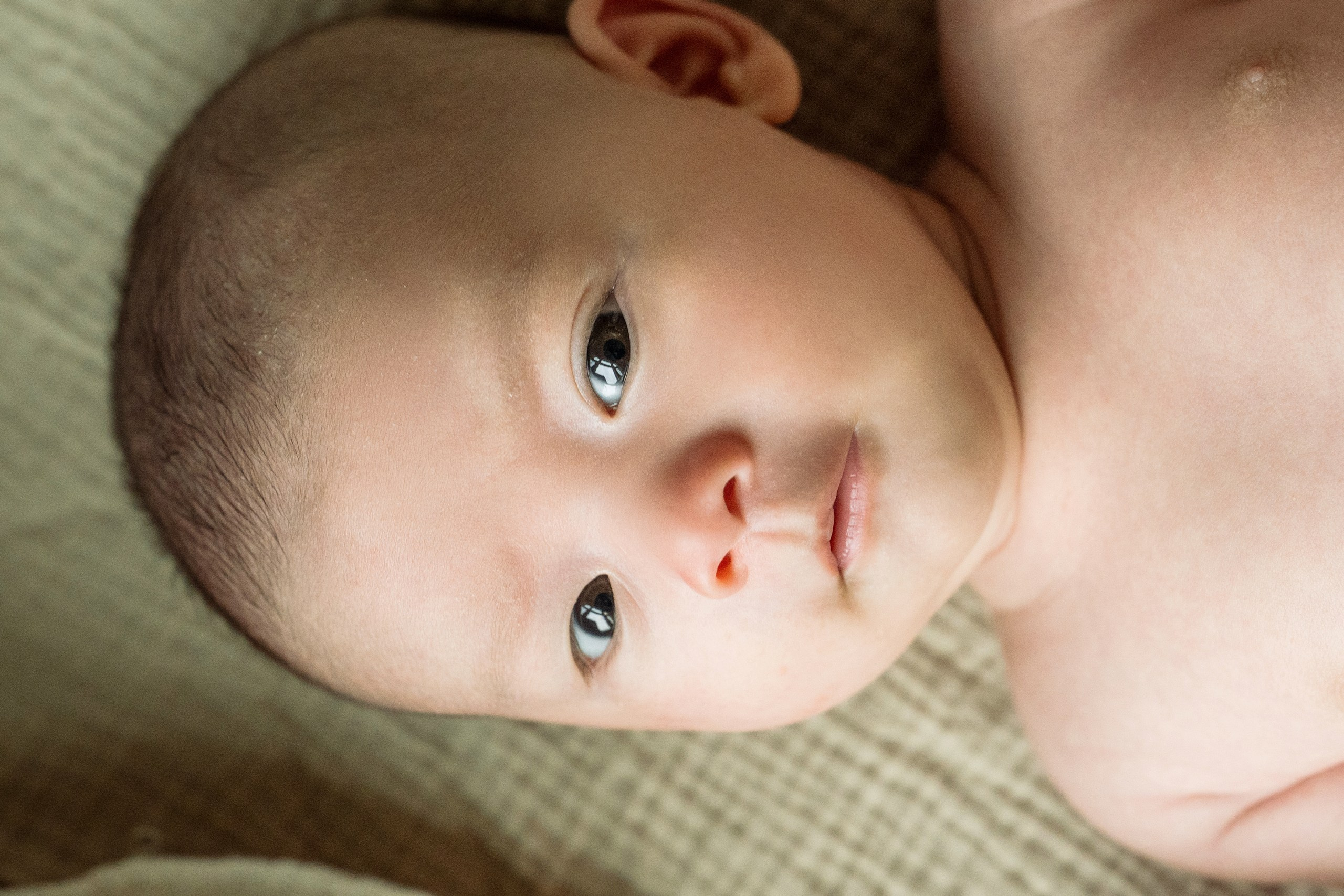 Kristine, Brian, Sloane. Alisa Tant — Family and newborn photographer Bucks County, Montgomery county, Philadelphia, NJ