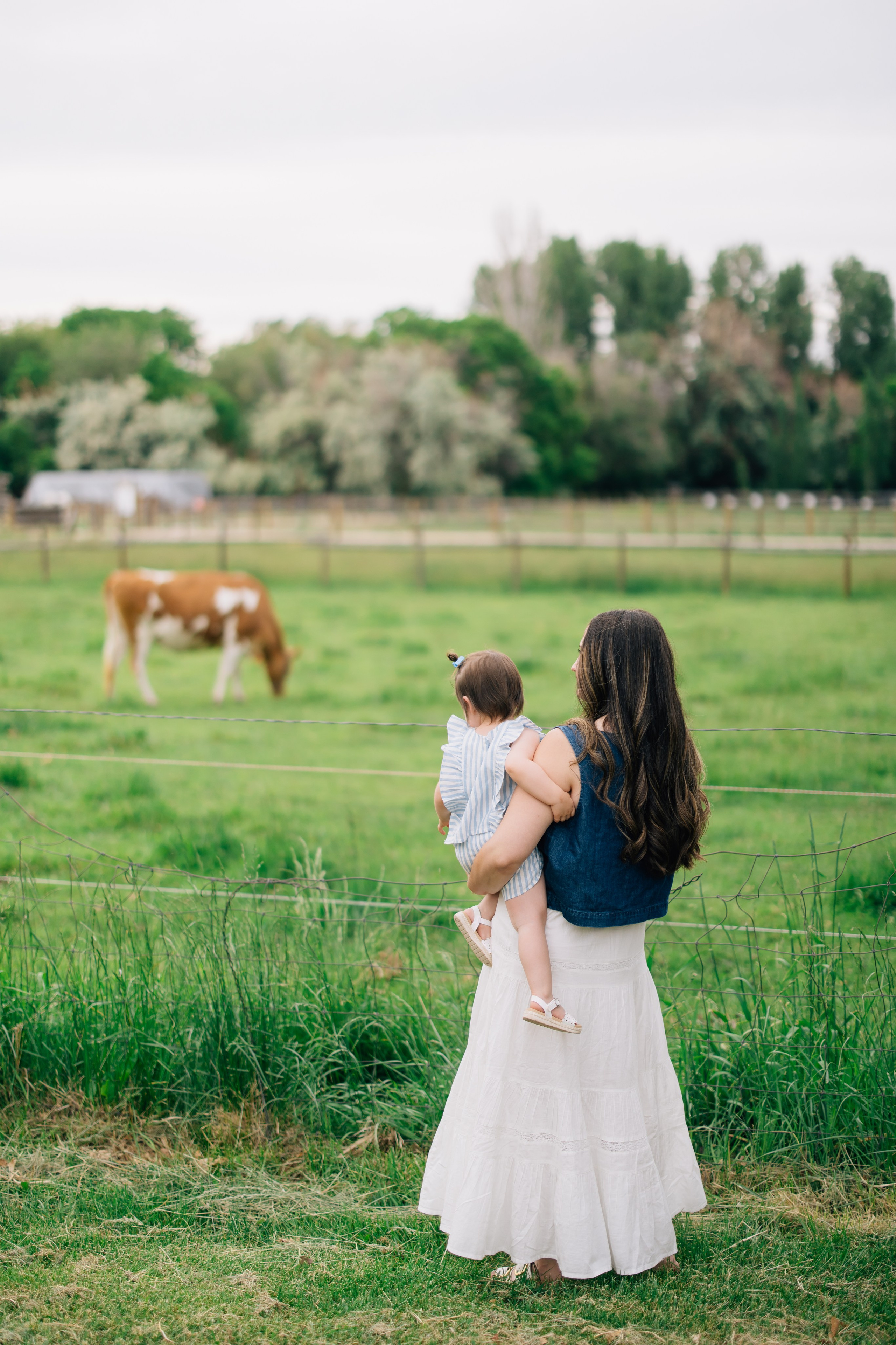 Utah Family Photographer