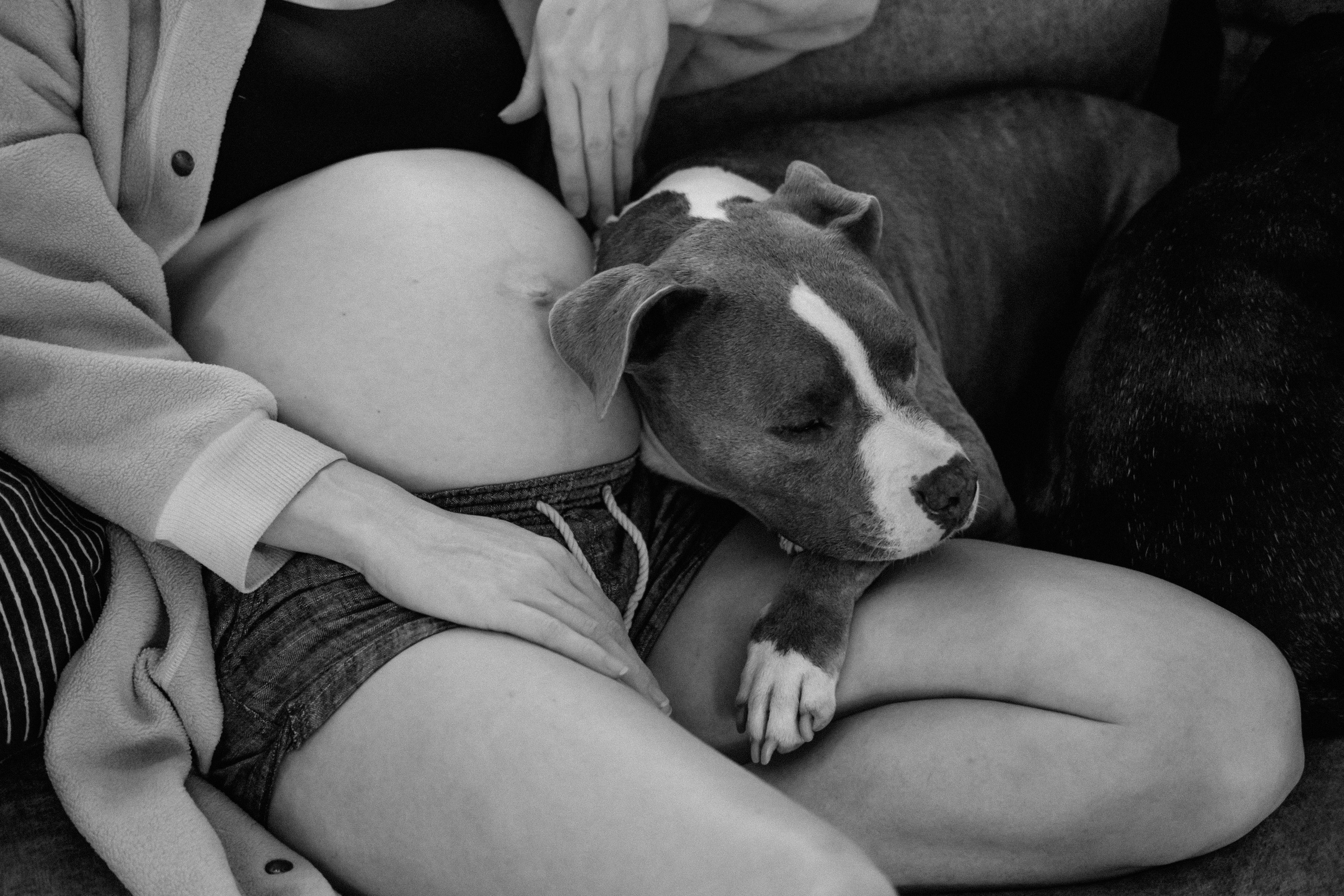 Maternity Photography Portfolio | Artistically capturing pregnancy in Richmond, VA. Family Photographer Richmond VA | Anna Dobrovolskaia