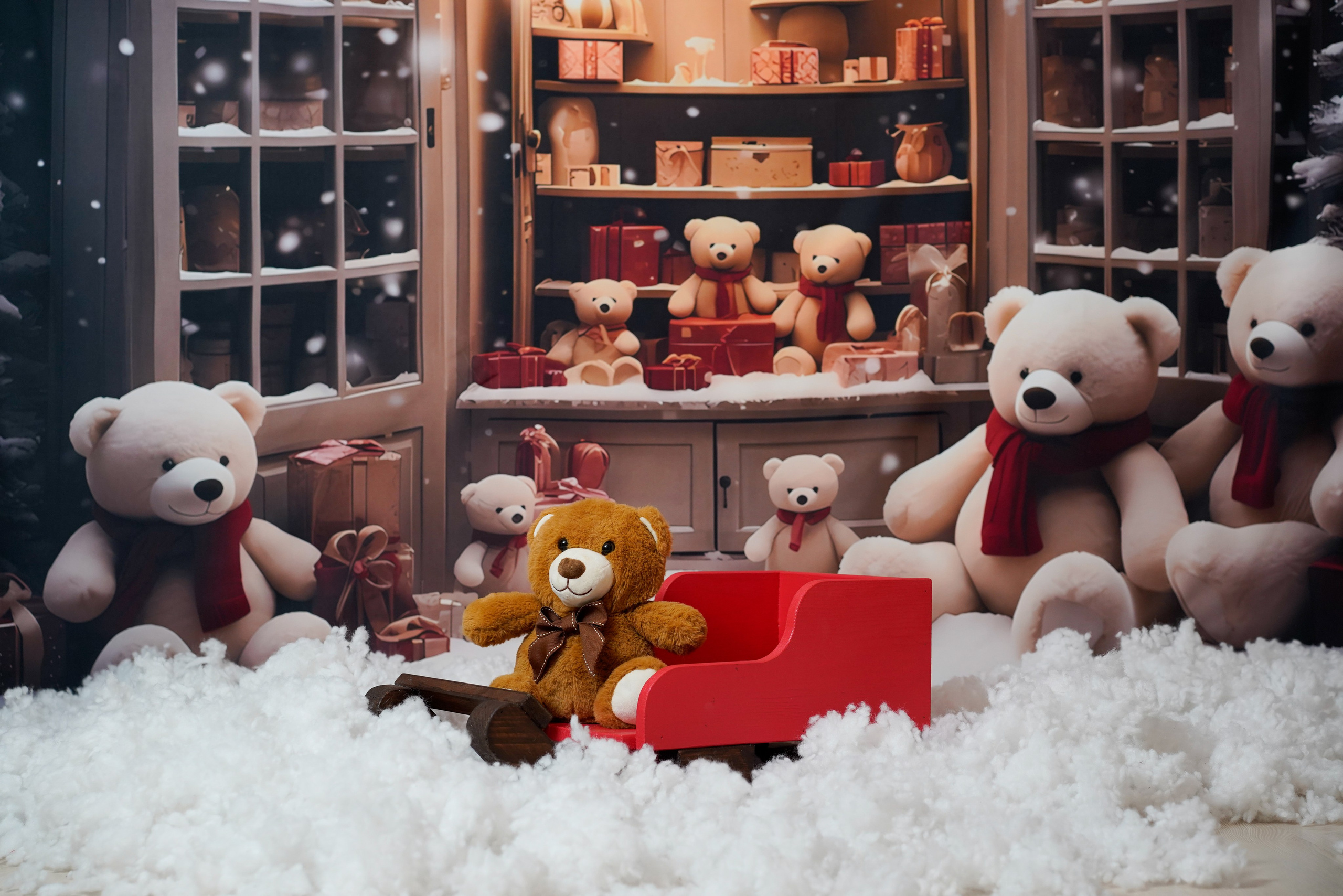 Sedinta foto Craciun. Cuibul foto