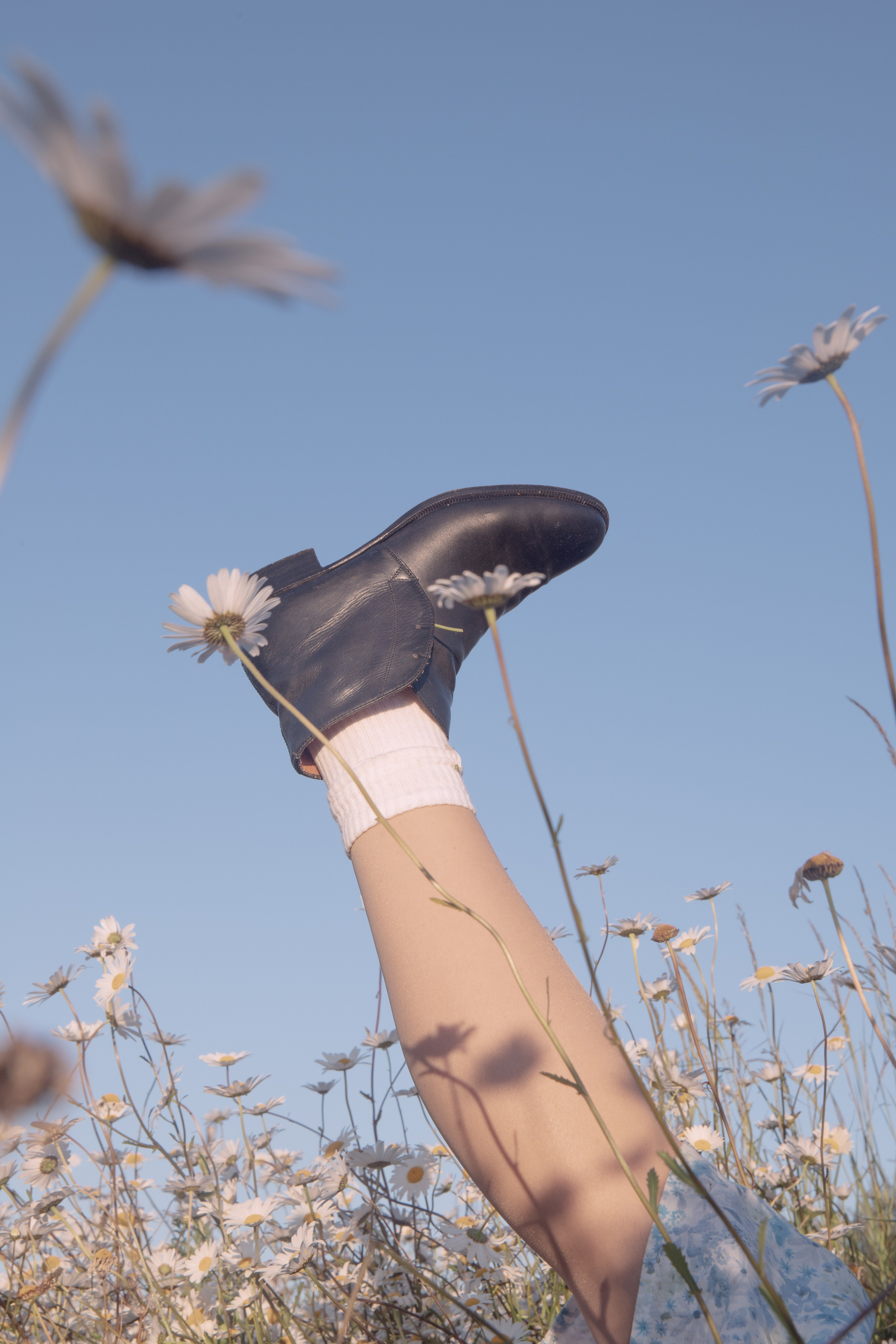 In Harmony with Nature. Natalja Poplavska — Visual artist, Photographer, East Sussex, London