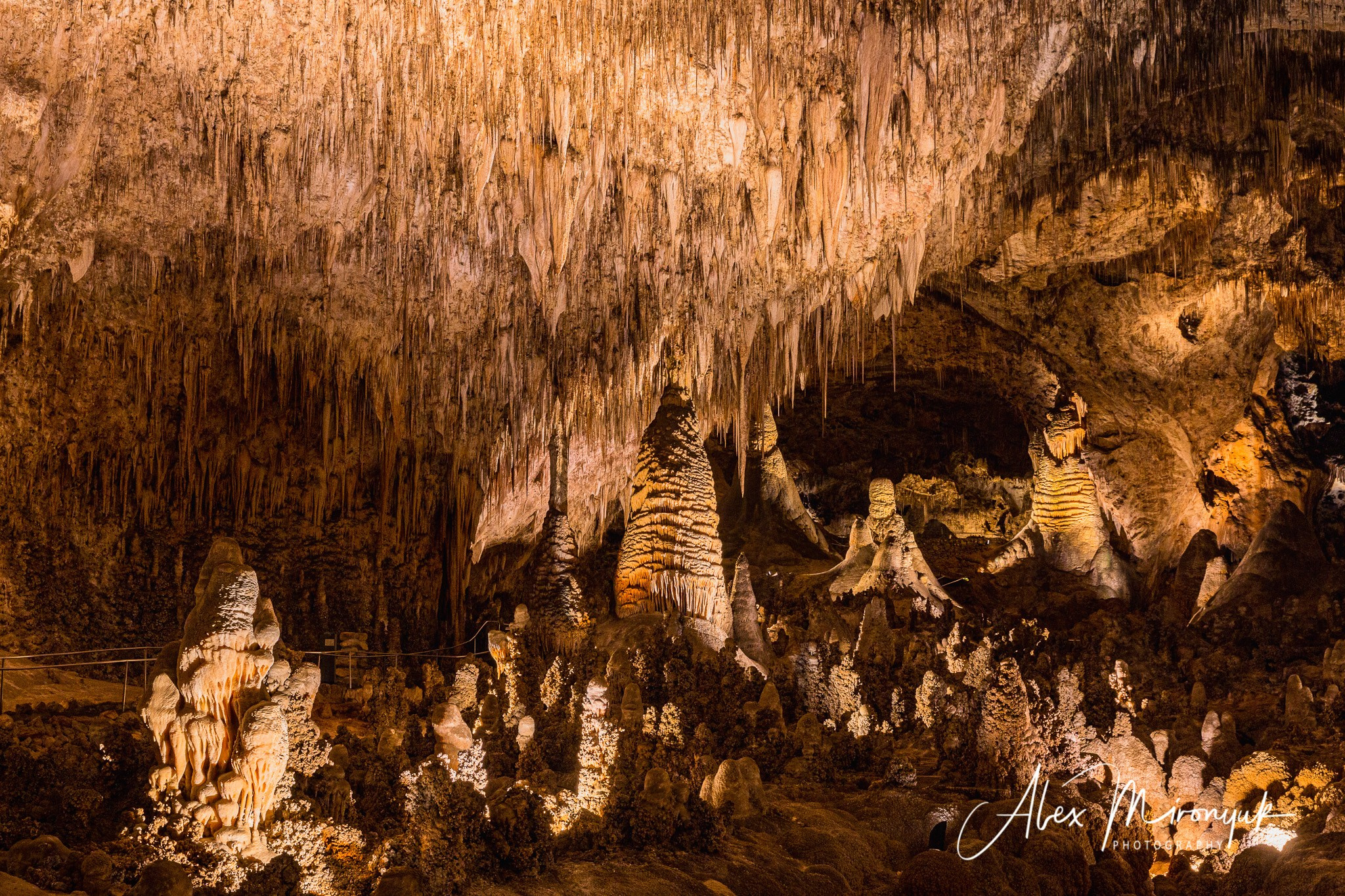 The Best of New Mexico. Pet, Senior, Landscape, portrait studio, photographer in Miami and Sou