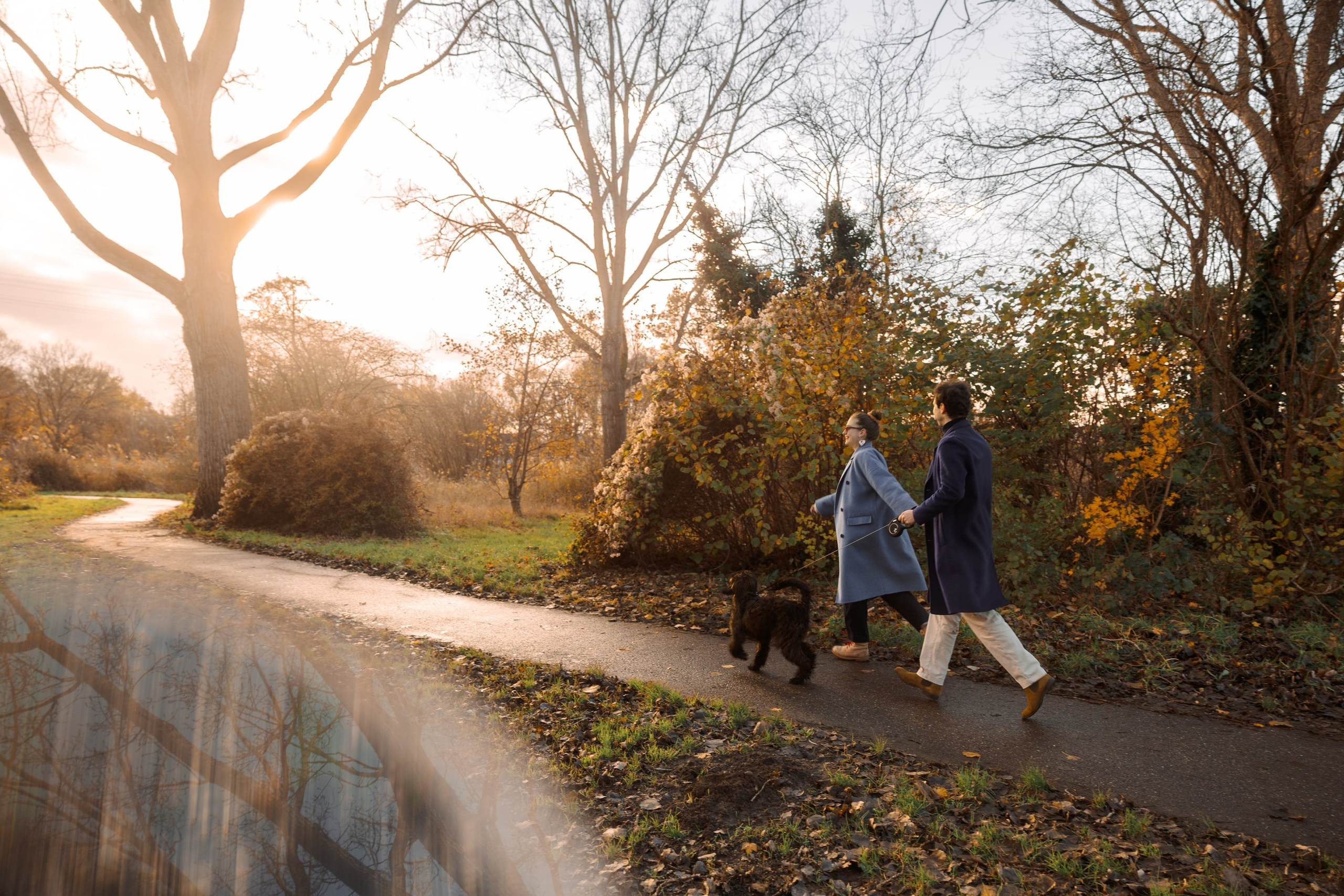 Dog & Cat Photographer Rotterdam | Natalia Olhova. Romantic & Soulful Photography by Natalia Olhova in Rotterdam