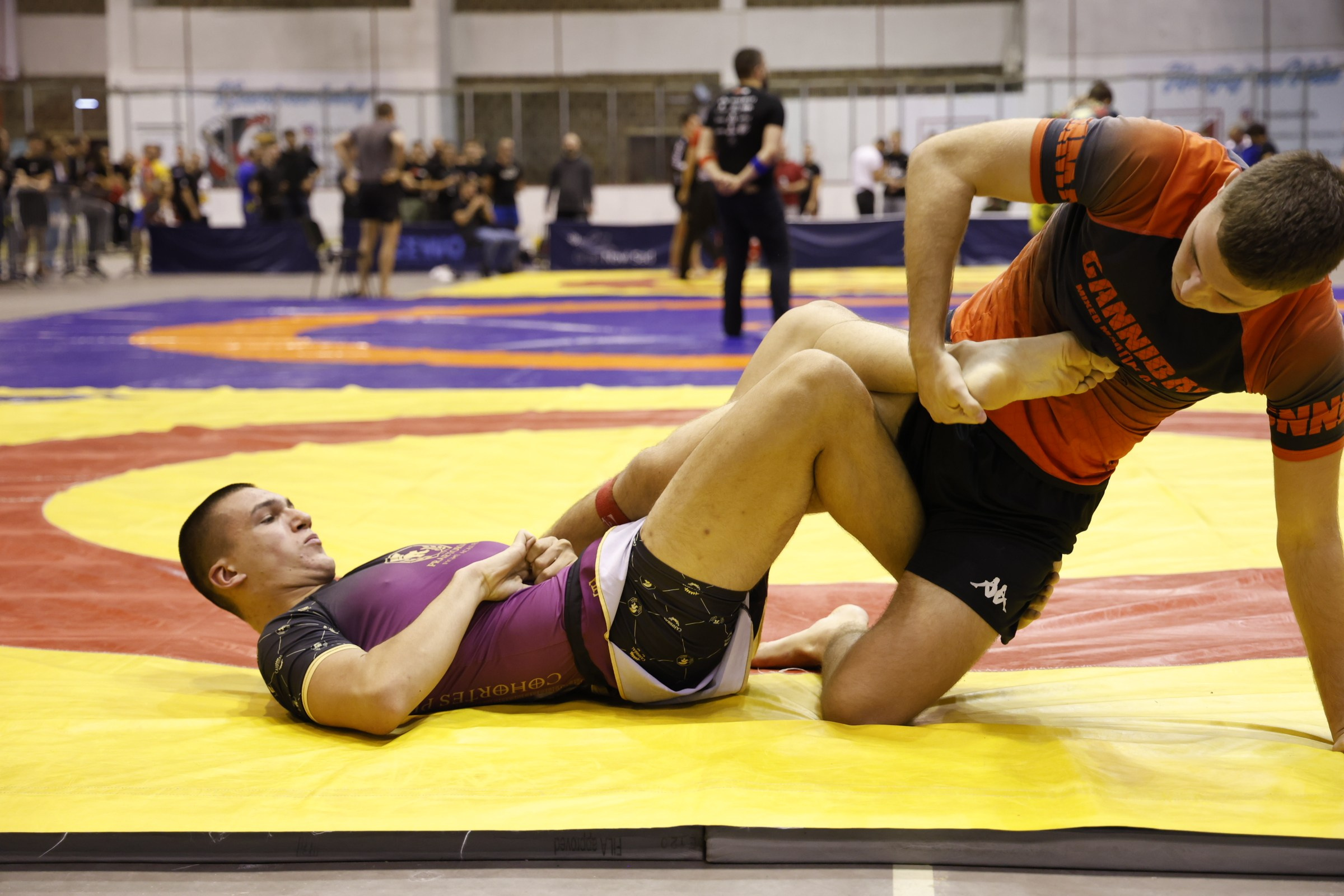NO GI Challenge Novi Sad