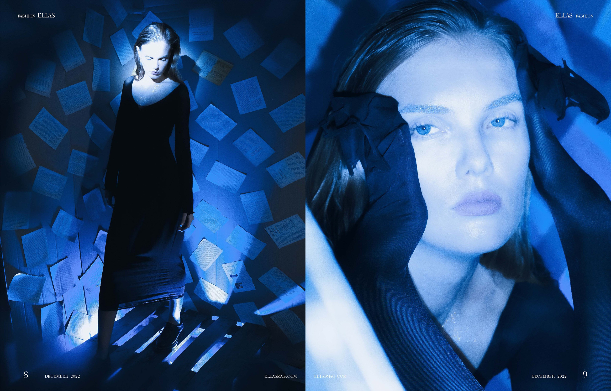 The best publications of the project R136a1