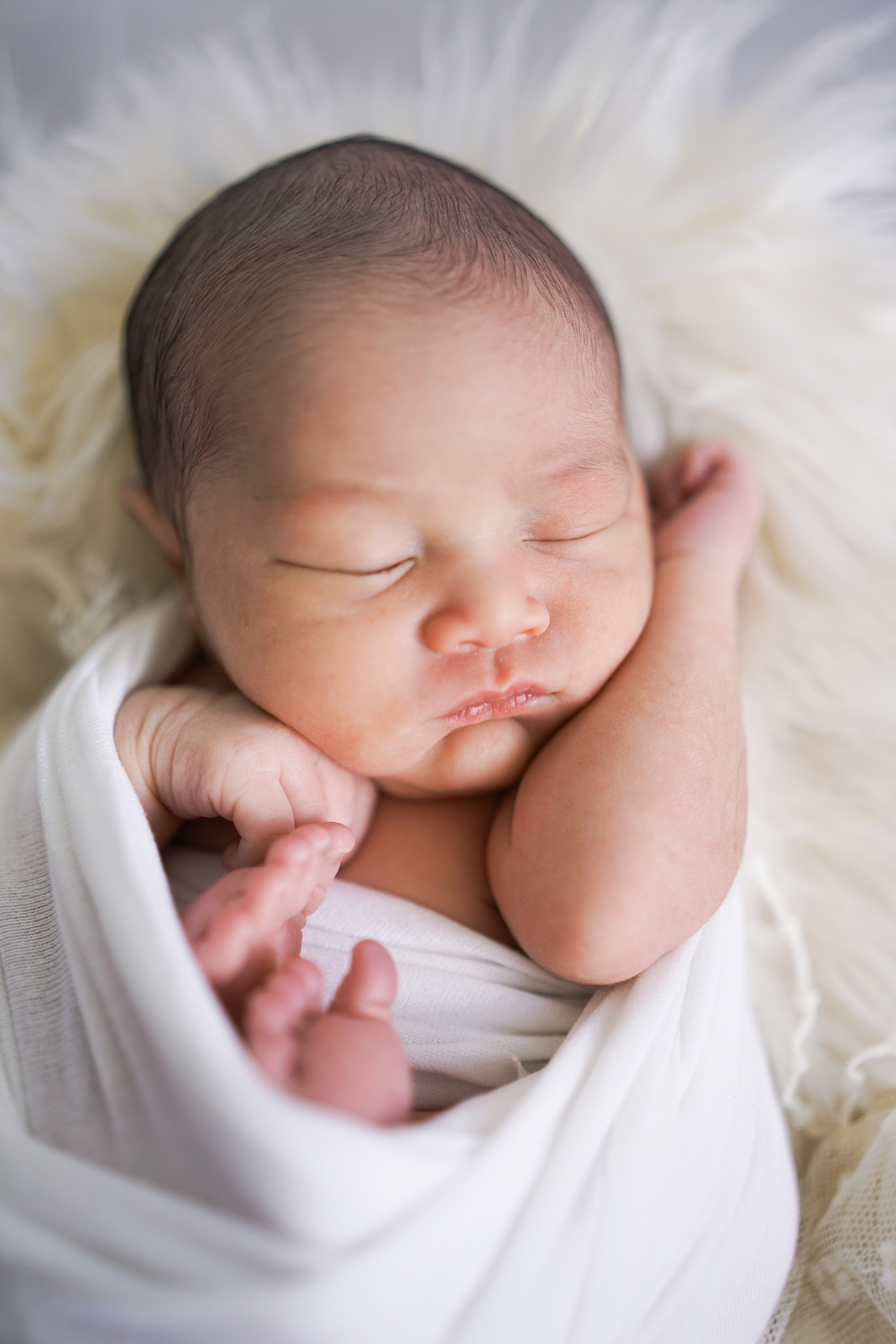 Posed Newborn. Maternity, family and newborn photography in San Francisco Bay Area