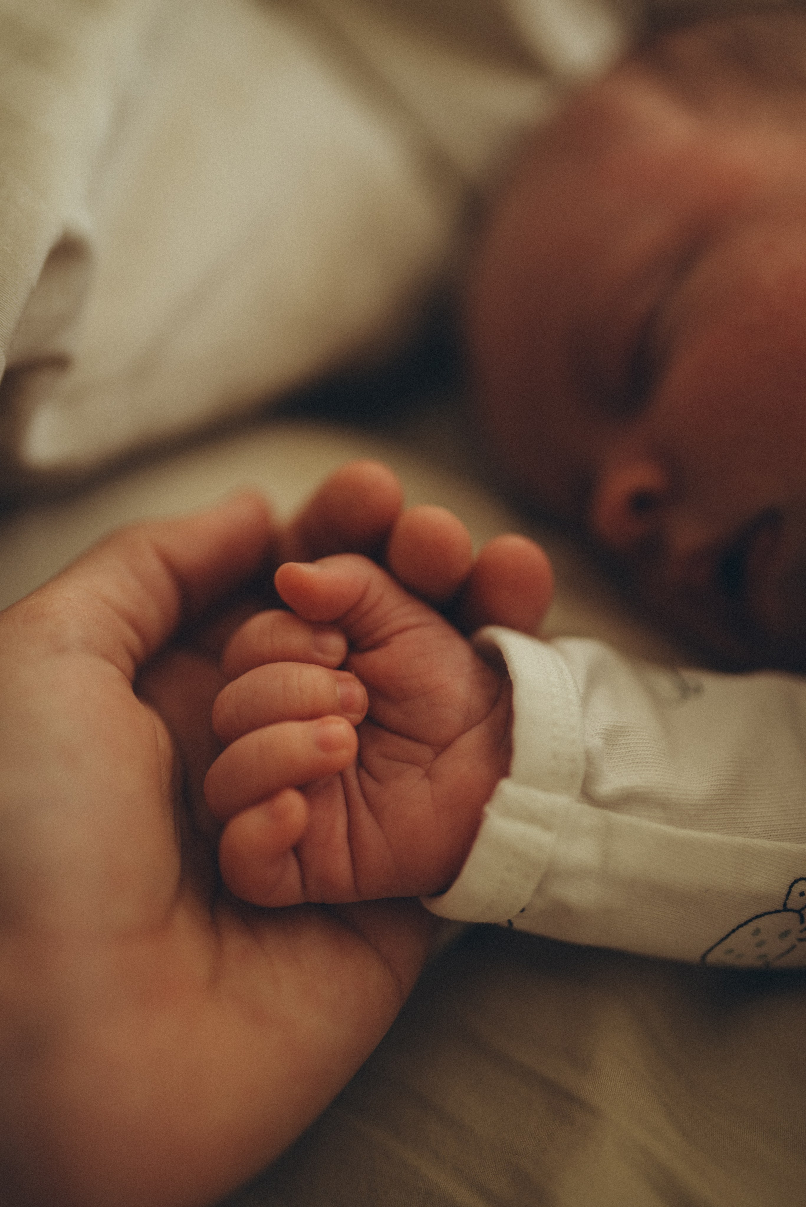 Newborn Photography. Bay Area Family Photographer — Sovanna