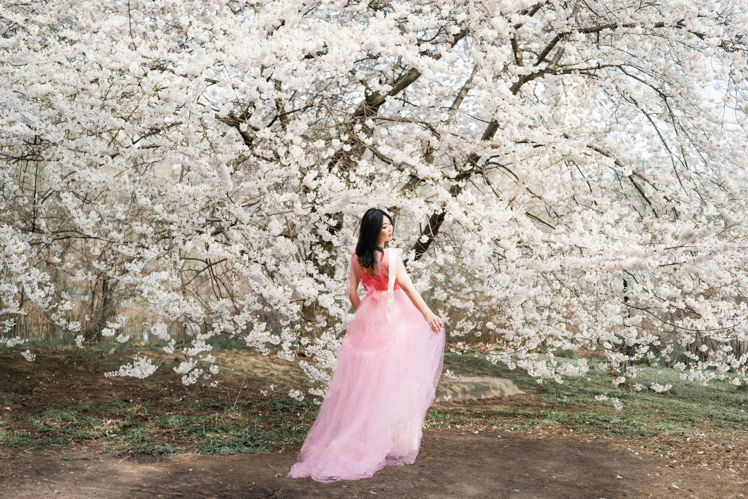 Sakura Photoshoot in New York. Photographer in New York Faery By Mary