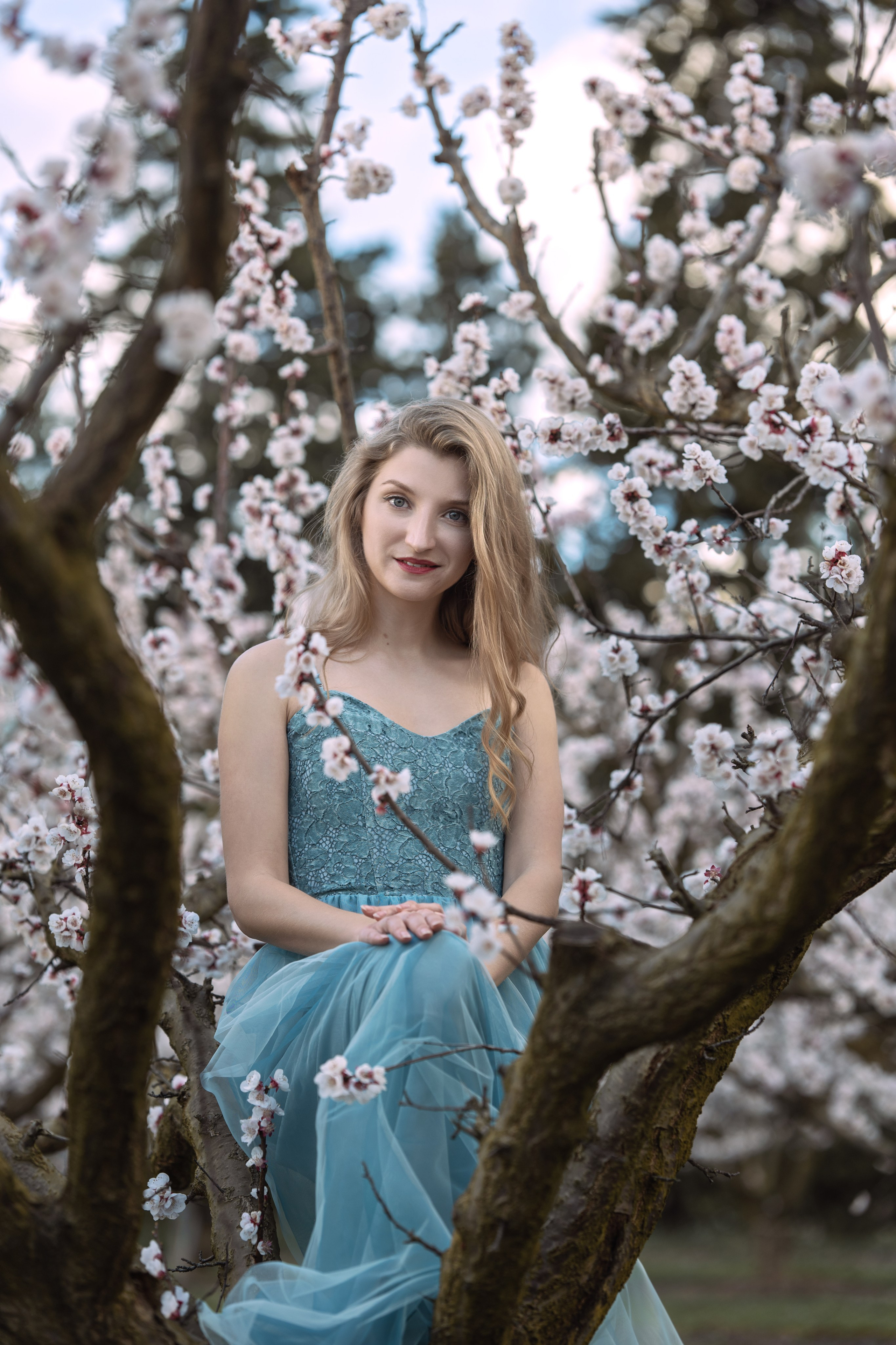 Shooting photo dans les cerisiers fleuris. Photographe et retoucheuse des images des produits à Avignon en France