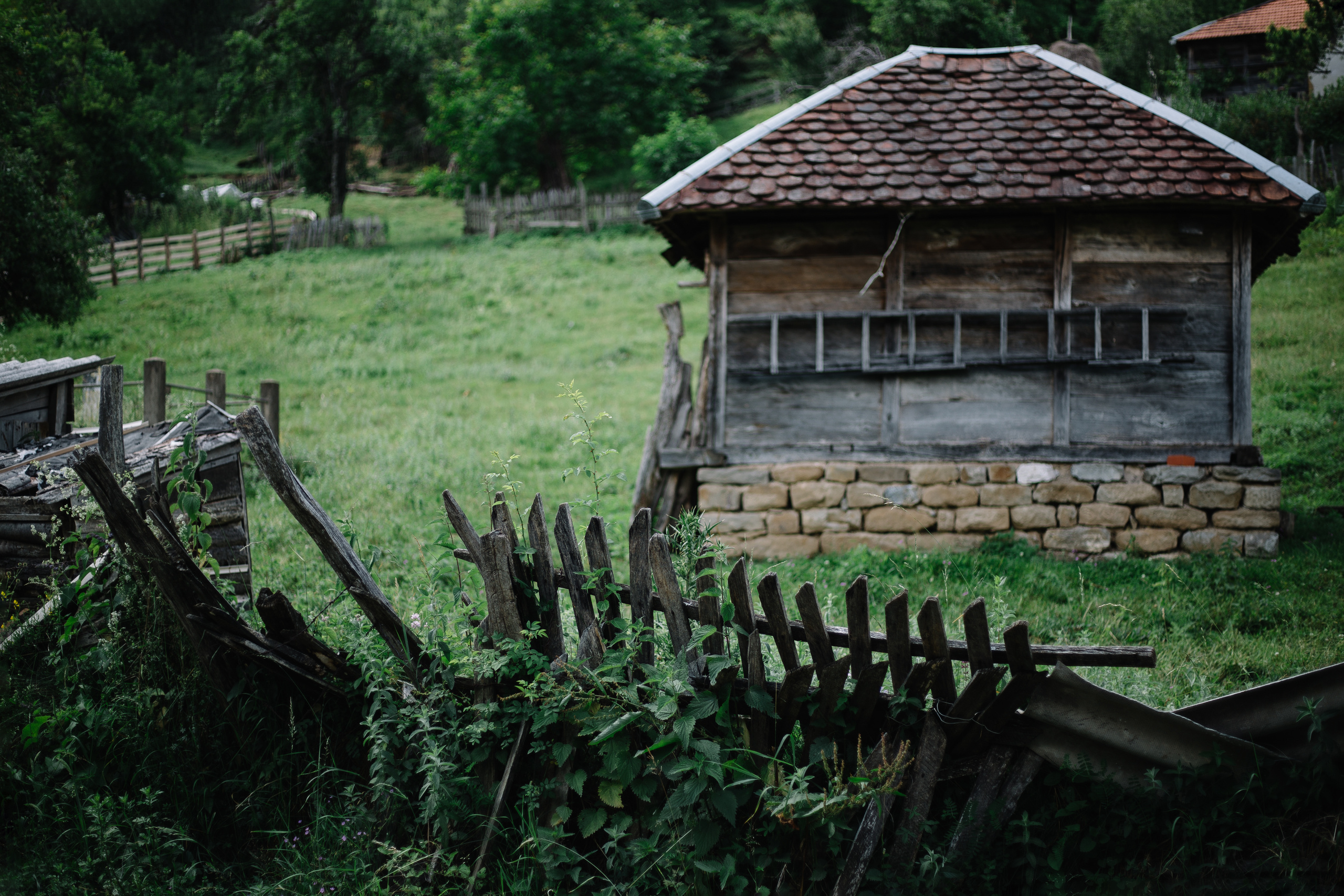 Searching for my Roots. Mark Smilyanic | Portrait and Adventure Photographer from Belgrade
