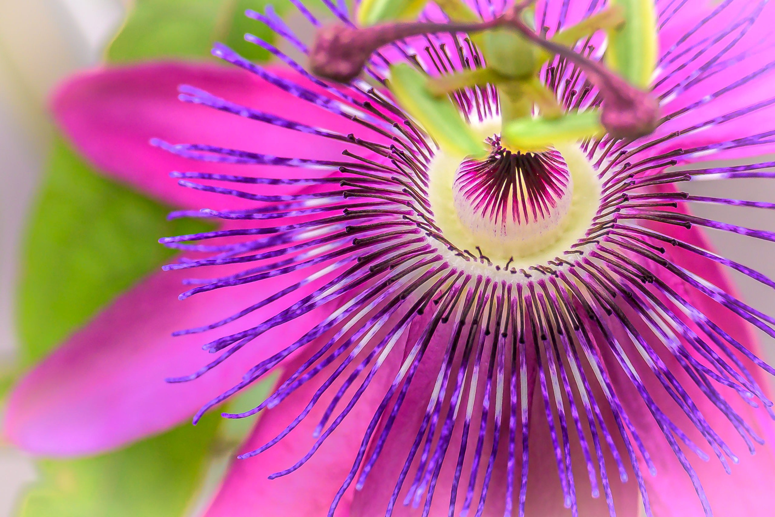 Portrait- und Content Fotograf im DACH-Raum Jack Dovgani