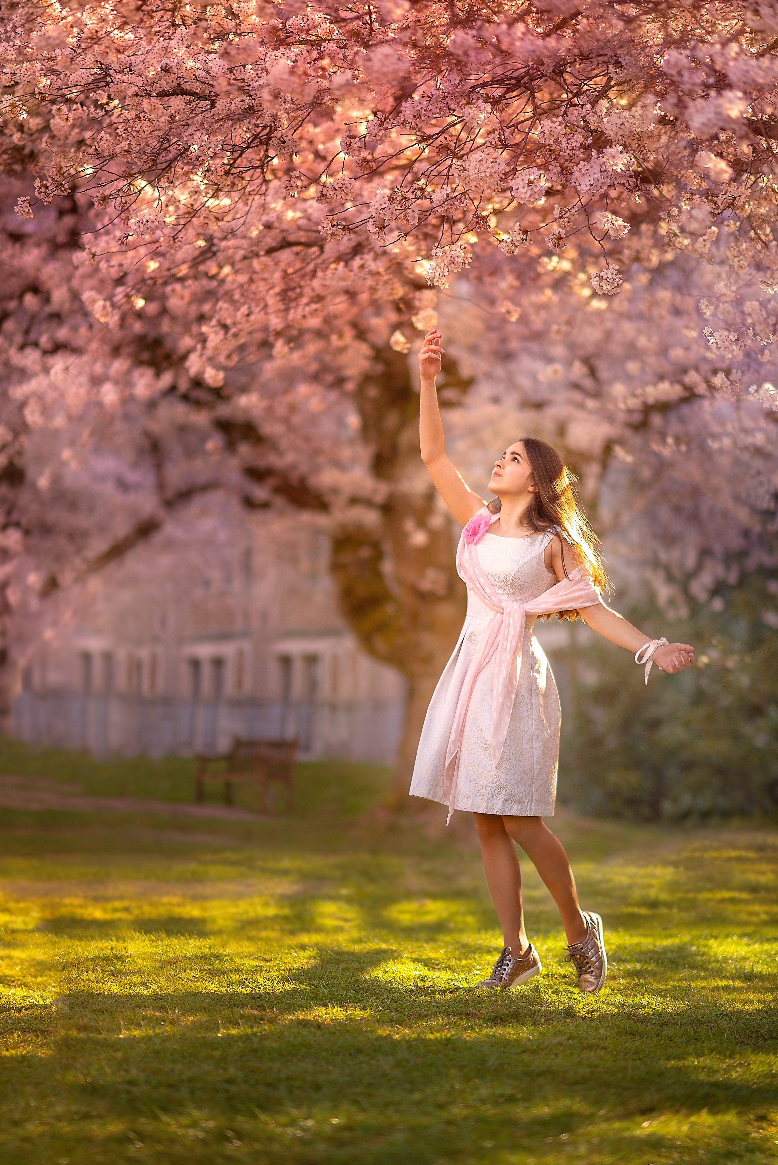 Portraits. Wedding & portrait photography in the Seattle Area. Helen Michelle photographer