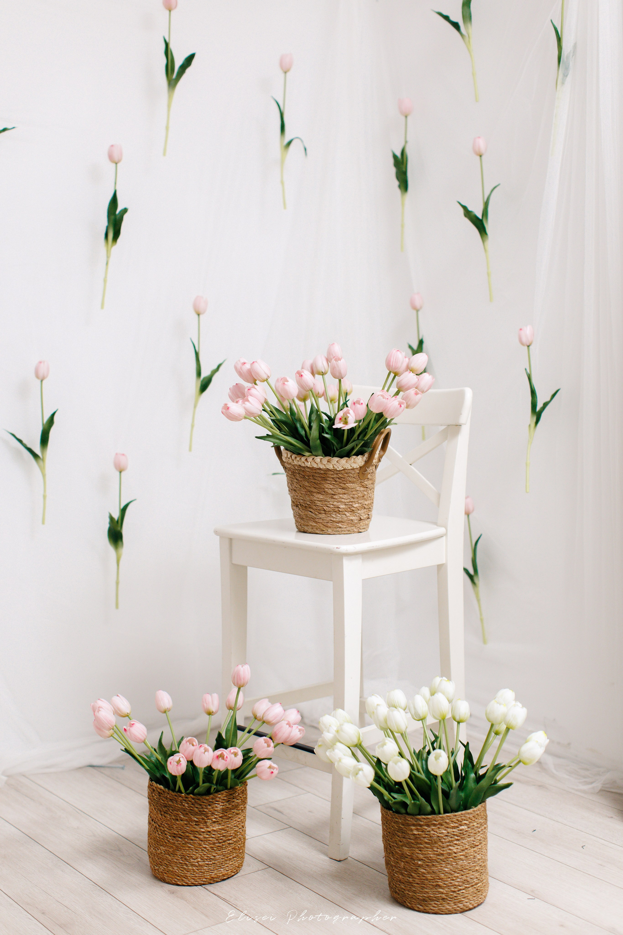 Sedinta Foto 1 An Suceava