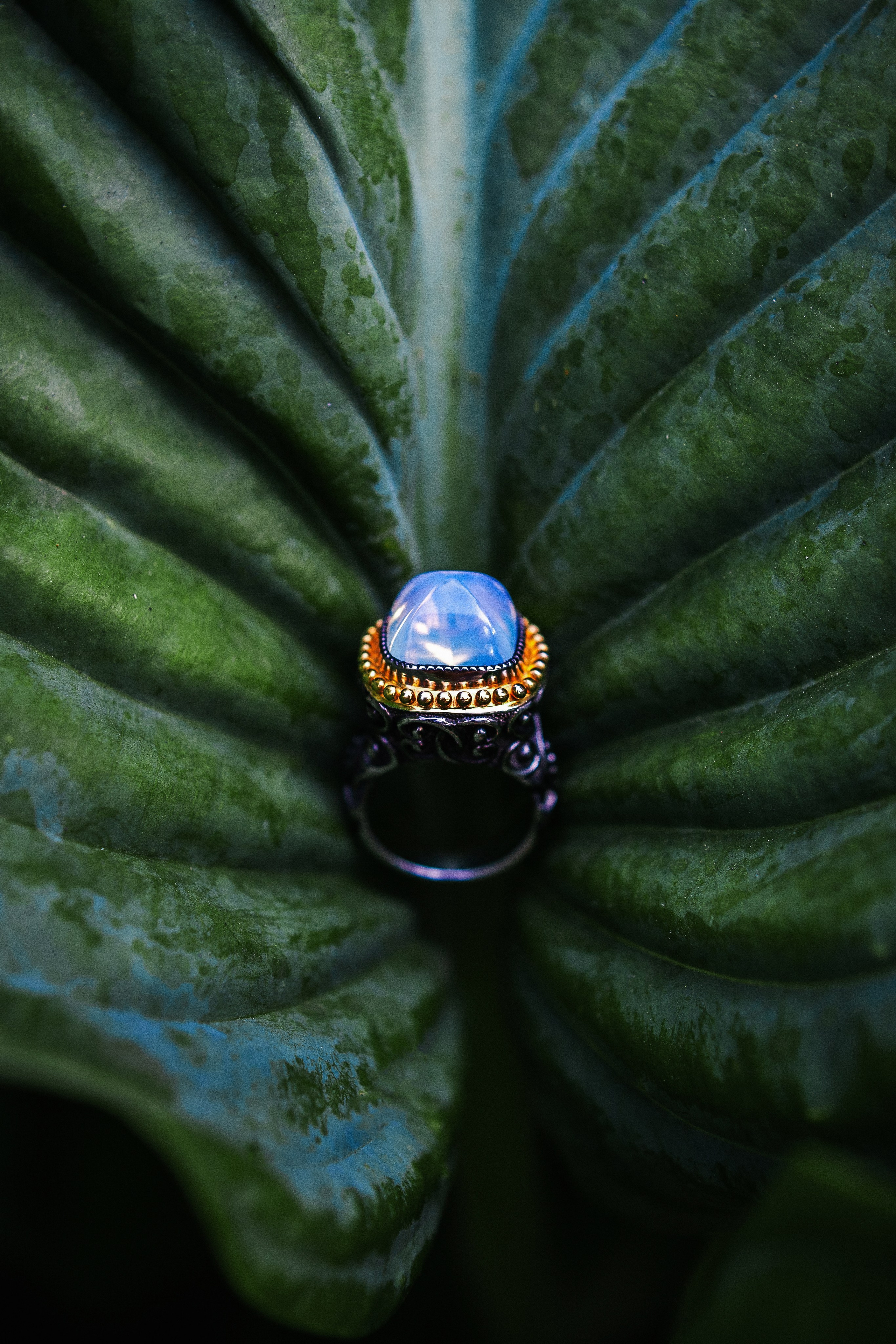 Creative Product & Brand Photography NYC. Sasha Amelie — Lifestyle Photographer NYC