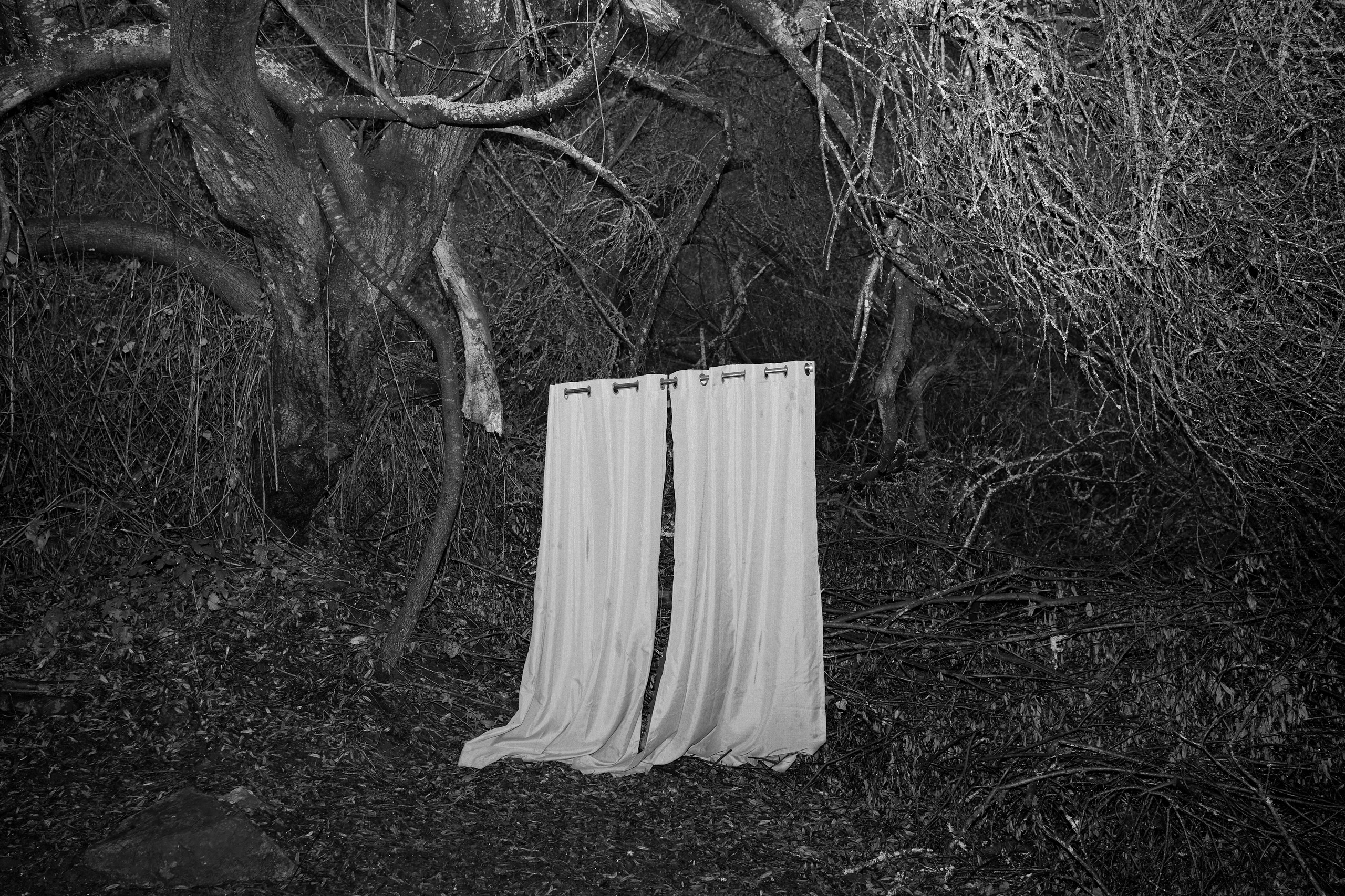 Mystery lands. GLISH ART — Timofey Glinin & Anastasia Shubina