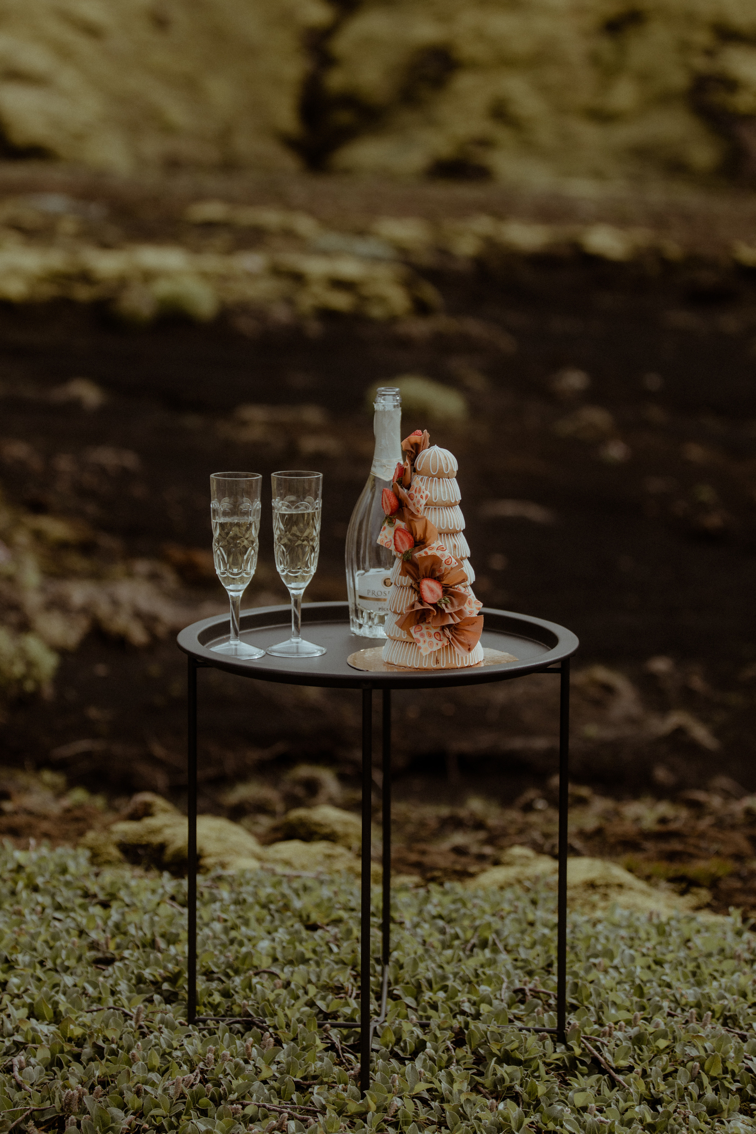 Elopement at Black sand beach in Iceland. Iceland elopement photographer & videographer
