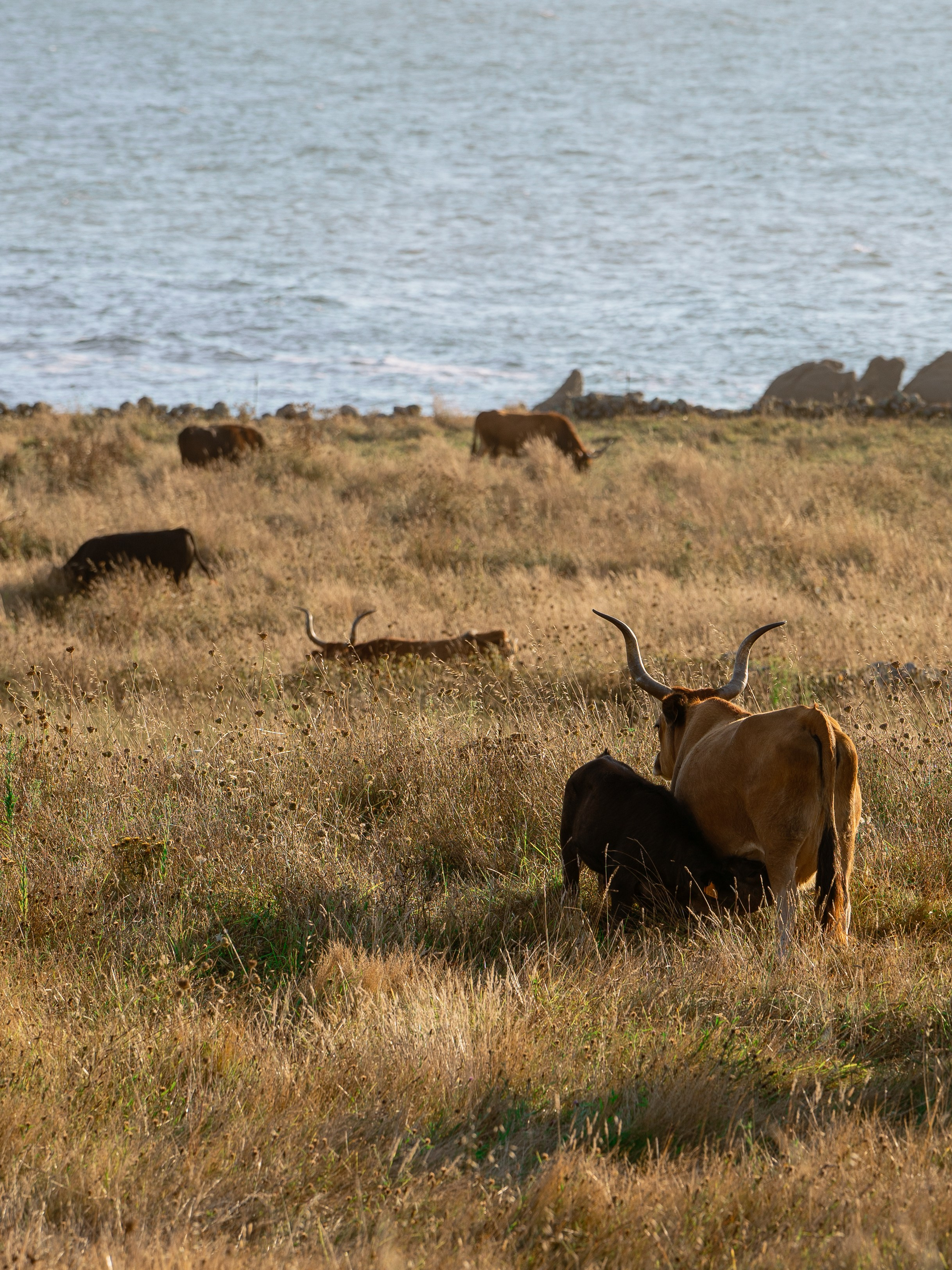 Creative Inspiration for Photographers & Artists. Photos of Galicia. Photographer in Madrid, Spain. Alyona Belyaninova