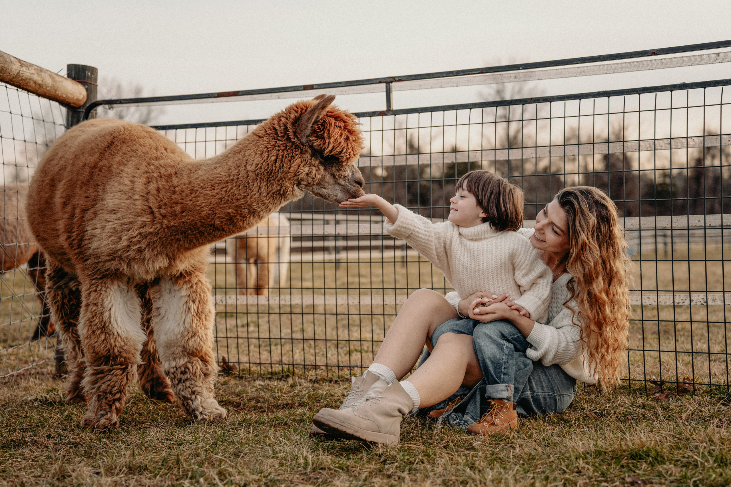 Unique Family Photography at an Alpaca Farm – Fun & Playful. Alisa Tant — Family and newborn photographer Bucks County, Montgomery county, Philadelphia, NJ