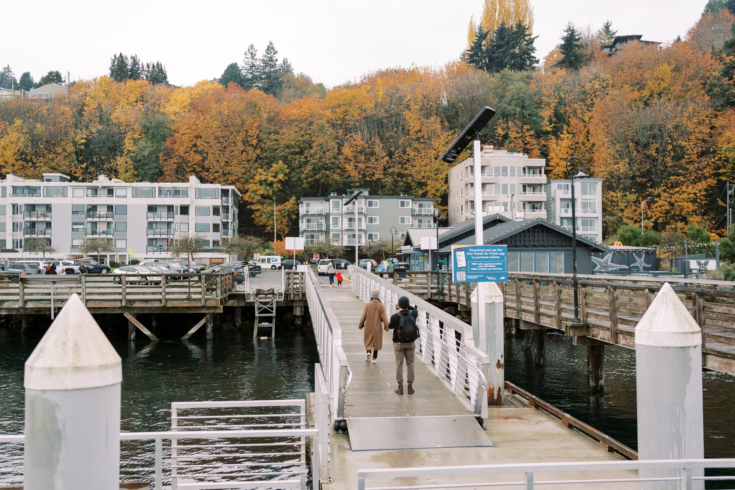 Proposal. November 2024. EVAN ARISTOV WEDDING PHOTOGRAPHY — Seattle Wedding Photographer