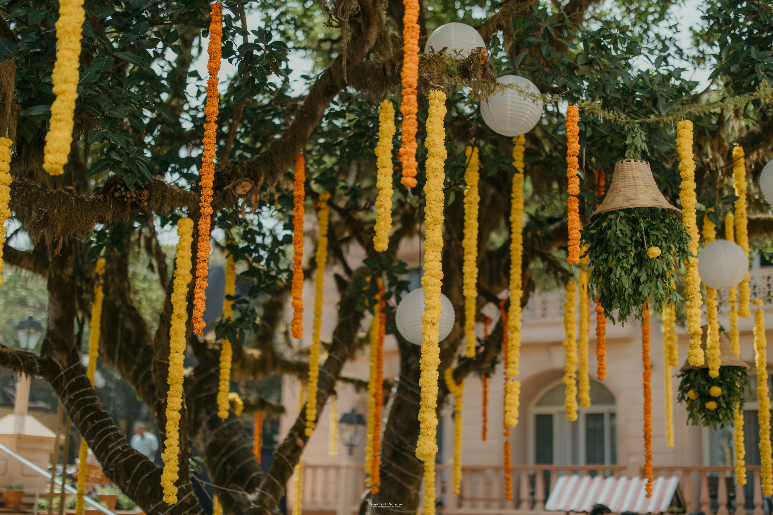 #THEPURALOVESTORY is a journey of two hearts growing in sync, across seasons, challenges, and memories