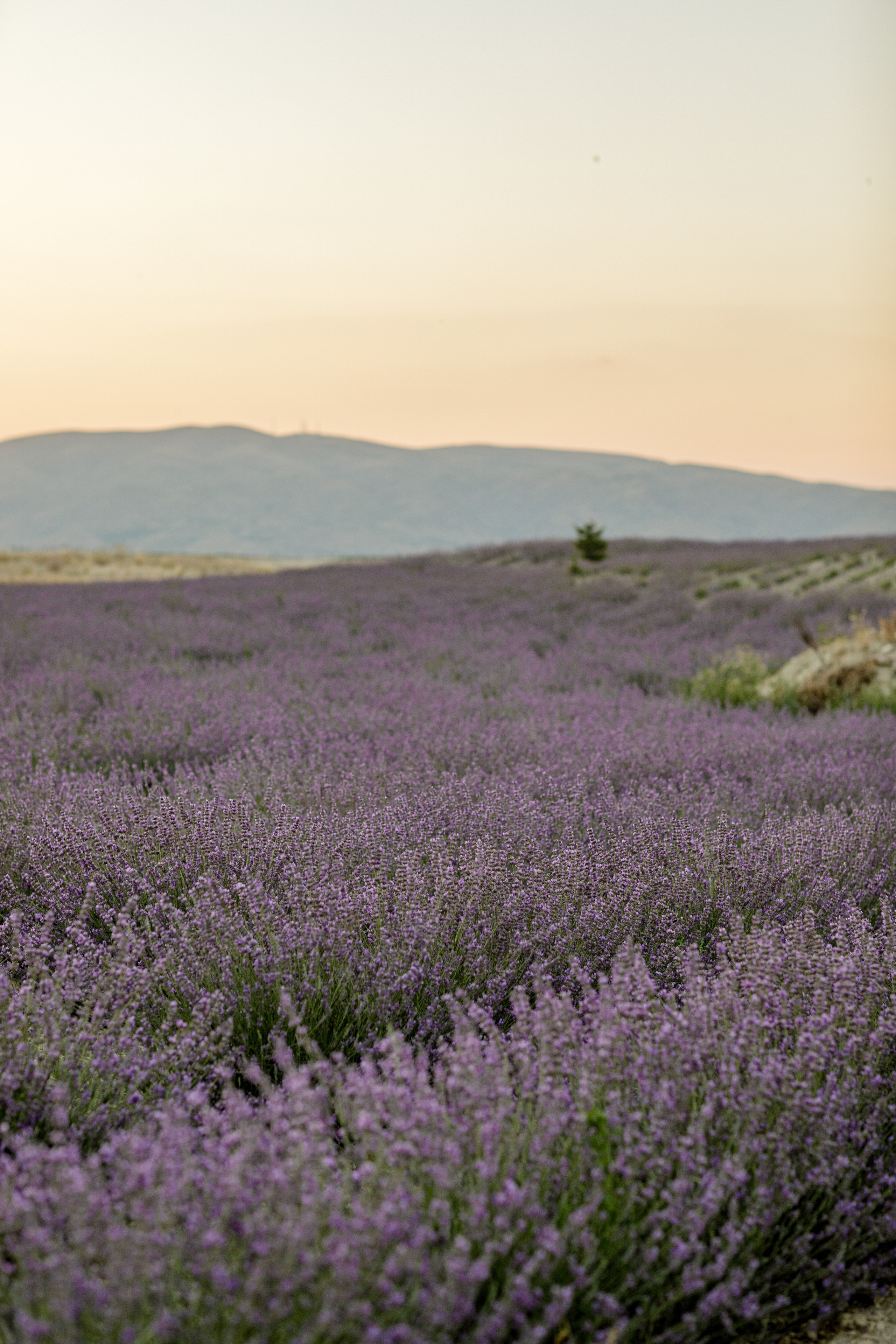 Cappadocia photographer price. Julia Ganch I Fashion Wedding Photography I Cappadocia Turkey