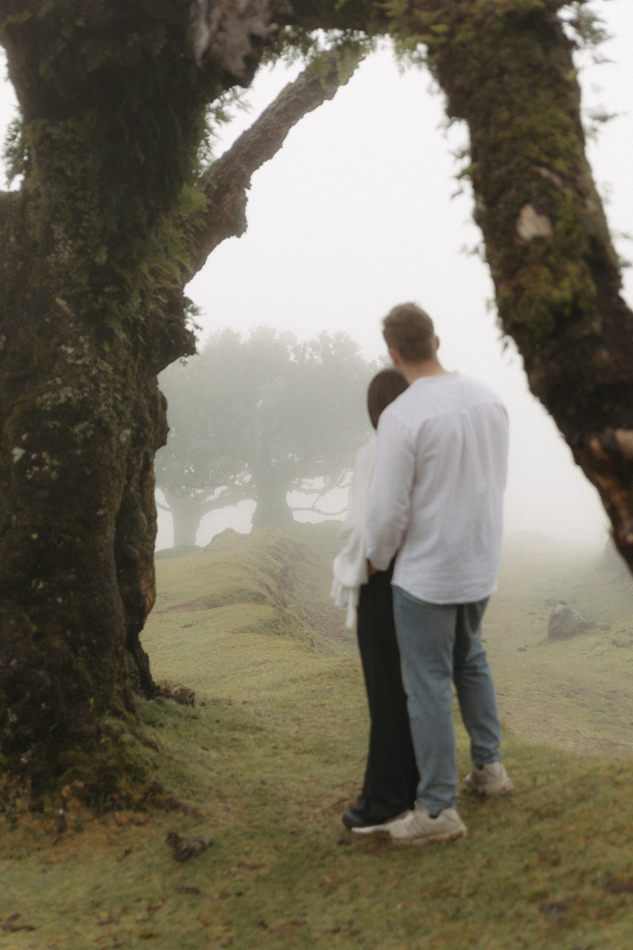 Magic of Fanal Forest. Wedding photographer and videographer based in Timisoara, Romania