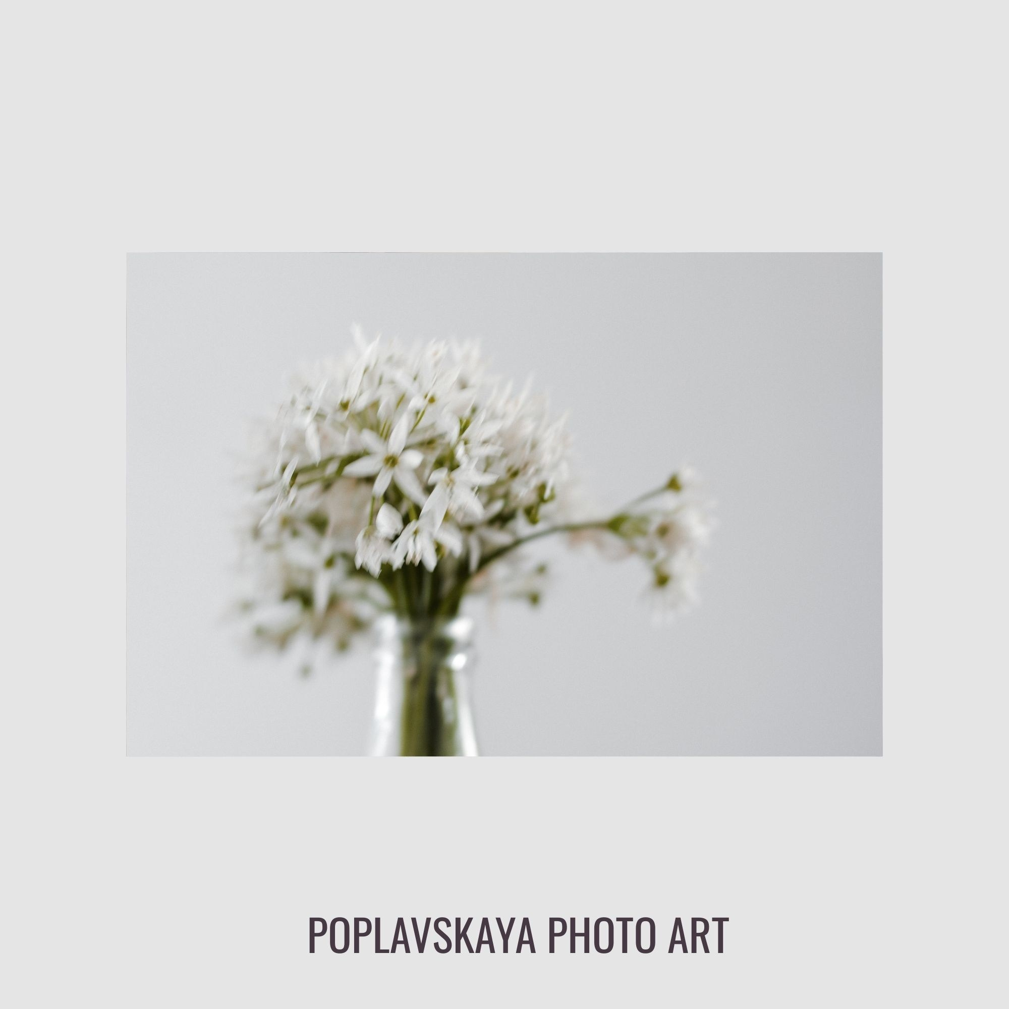 WILD GARLIC. Natalja Poplavska — Visual artist, Photographer, East Sussex, London