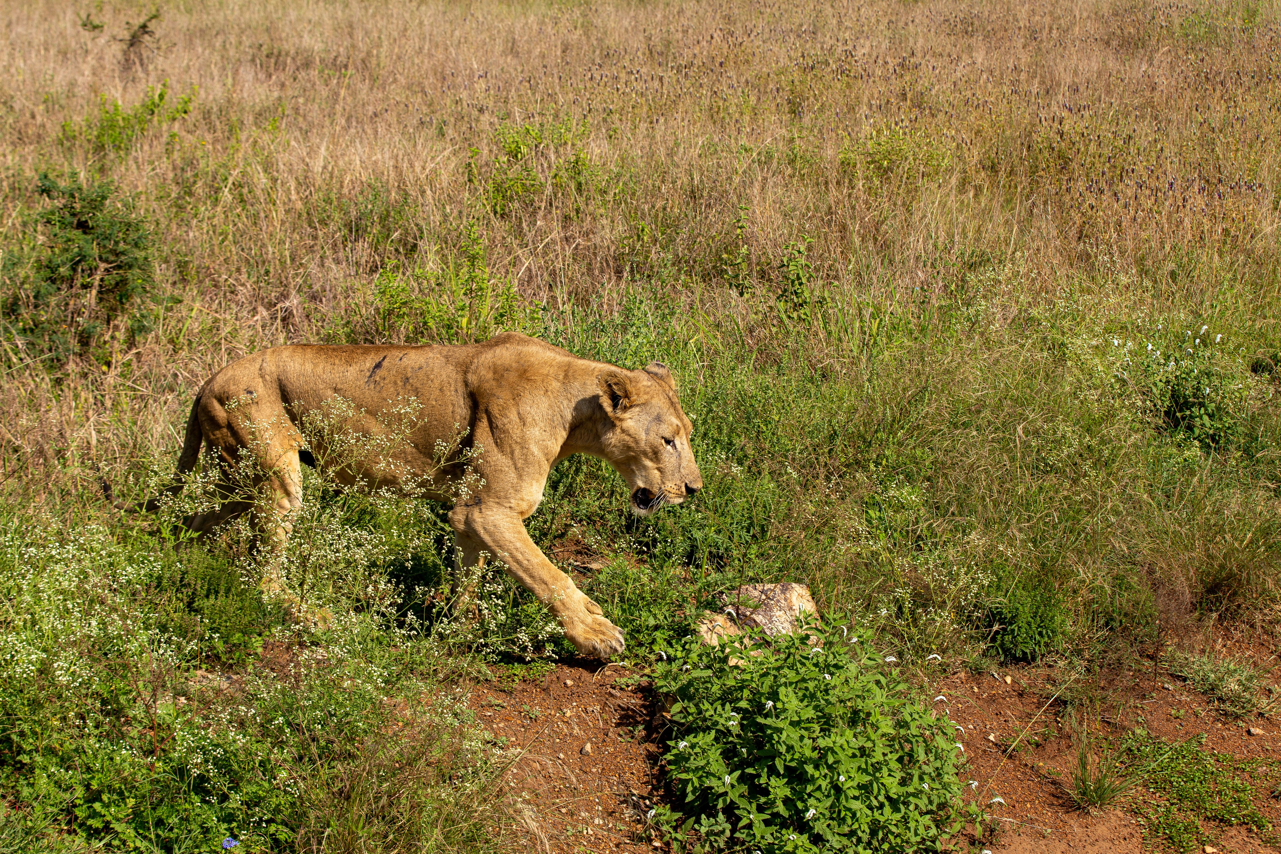 Corporate Event Photography. Nick Ouma Photography I Best Event photographer based in Nairobi, Kenya