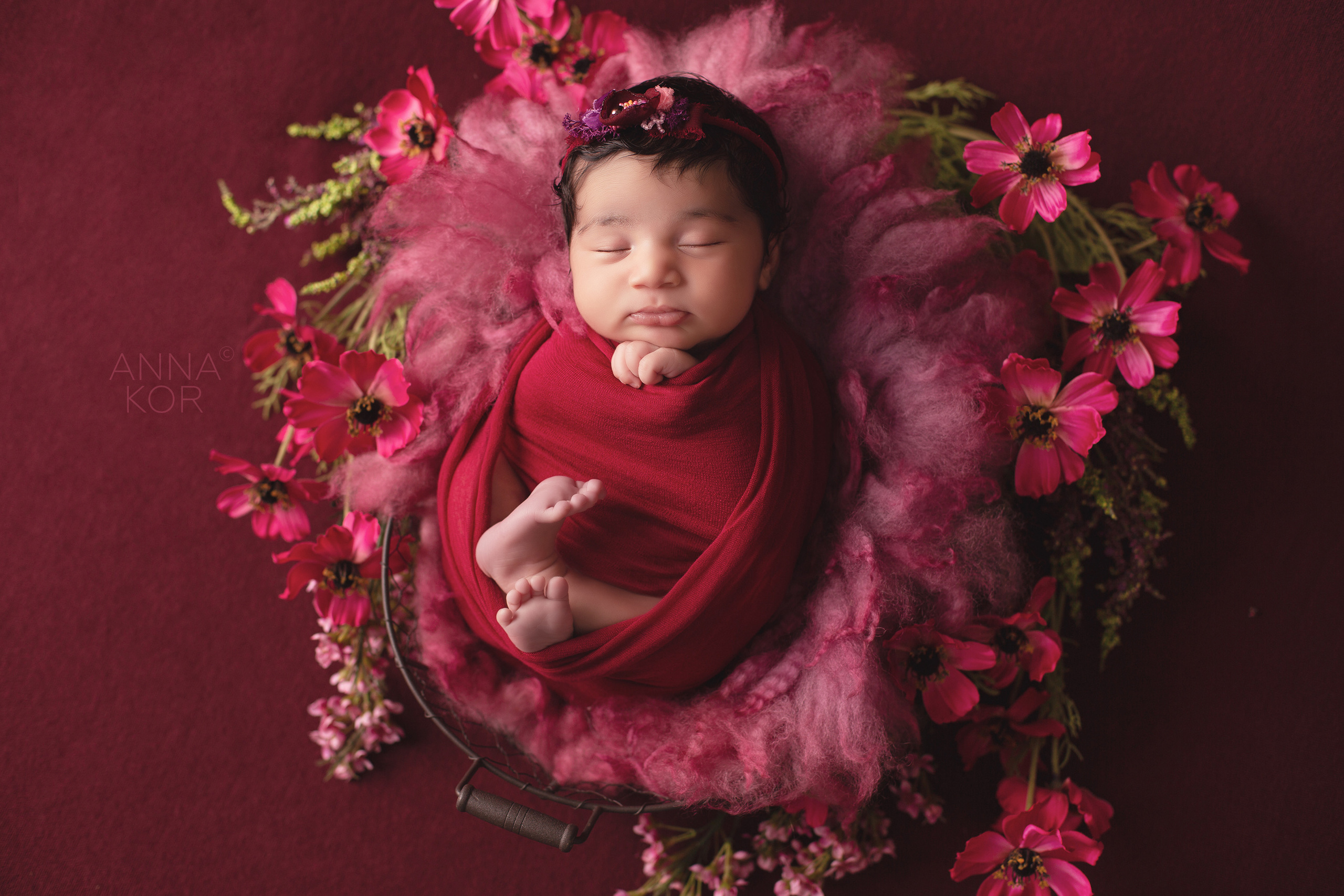 ANNA KOR Newborn Photographer in the UAE
