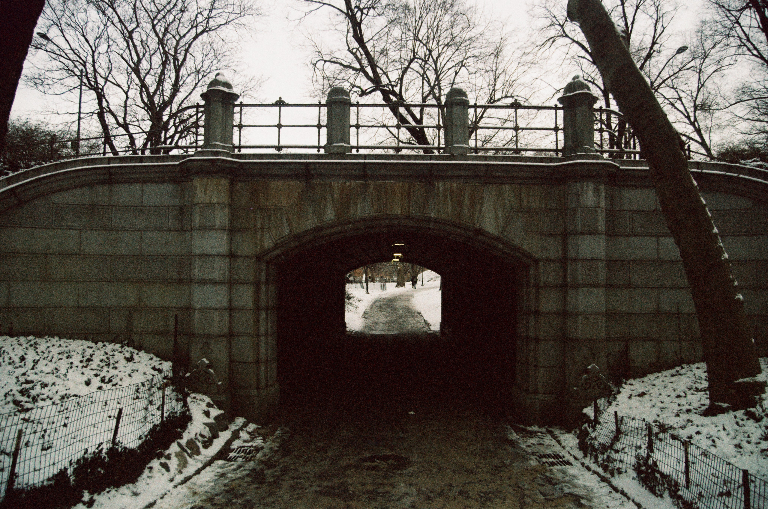 Нью-Йорк в январе: холодно, но волшебно!