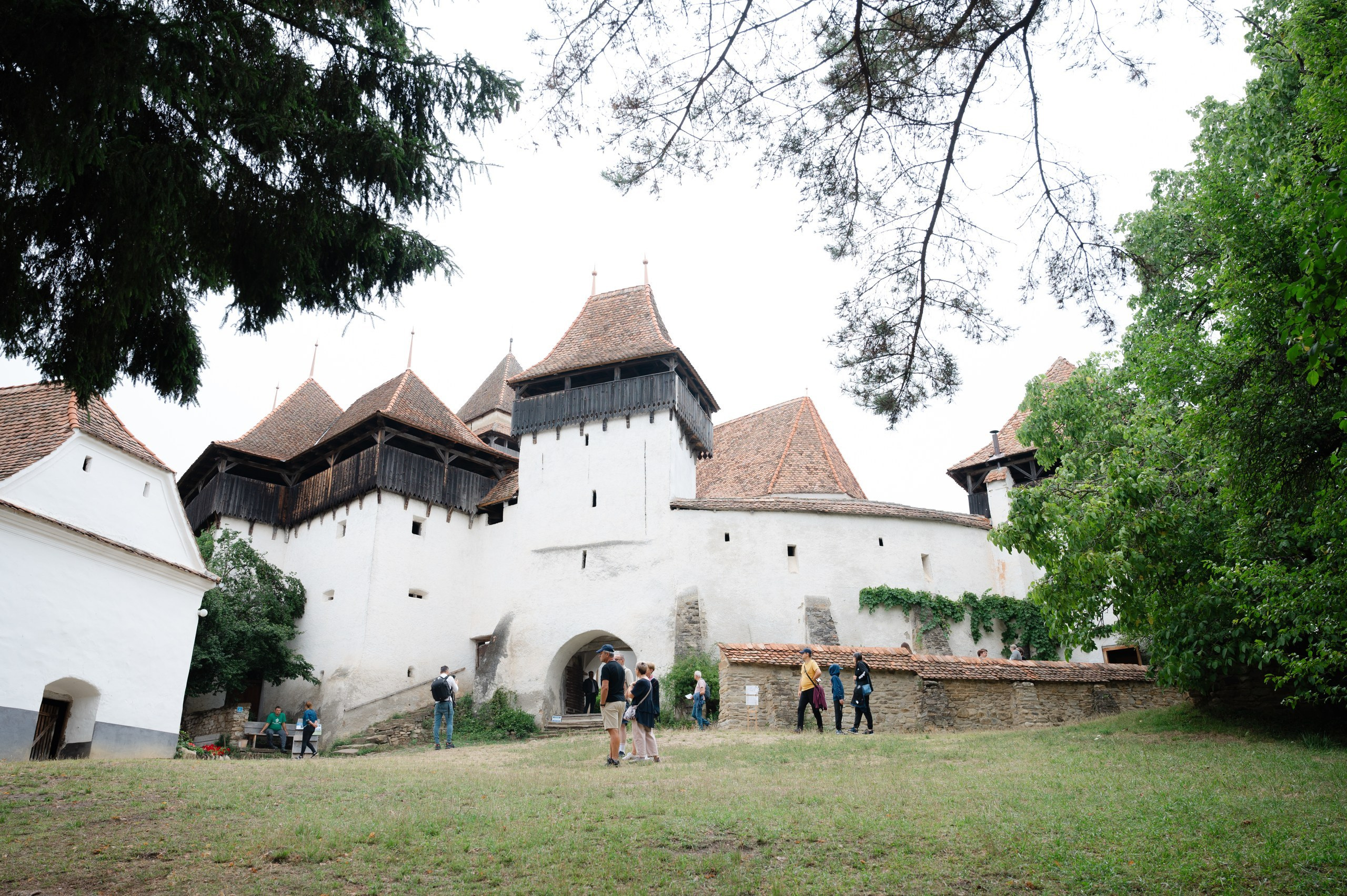 Sándor & Éva - Nunta in Viscri