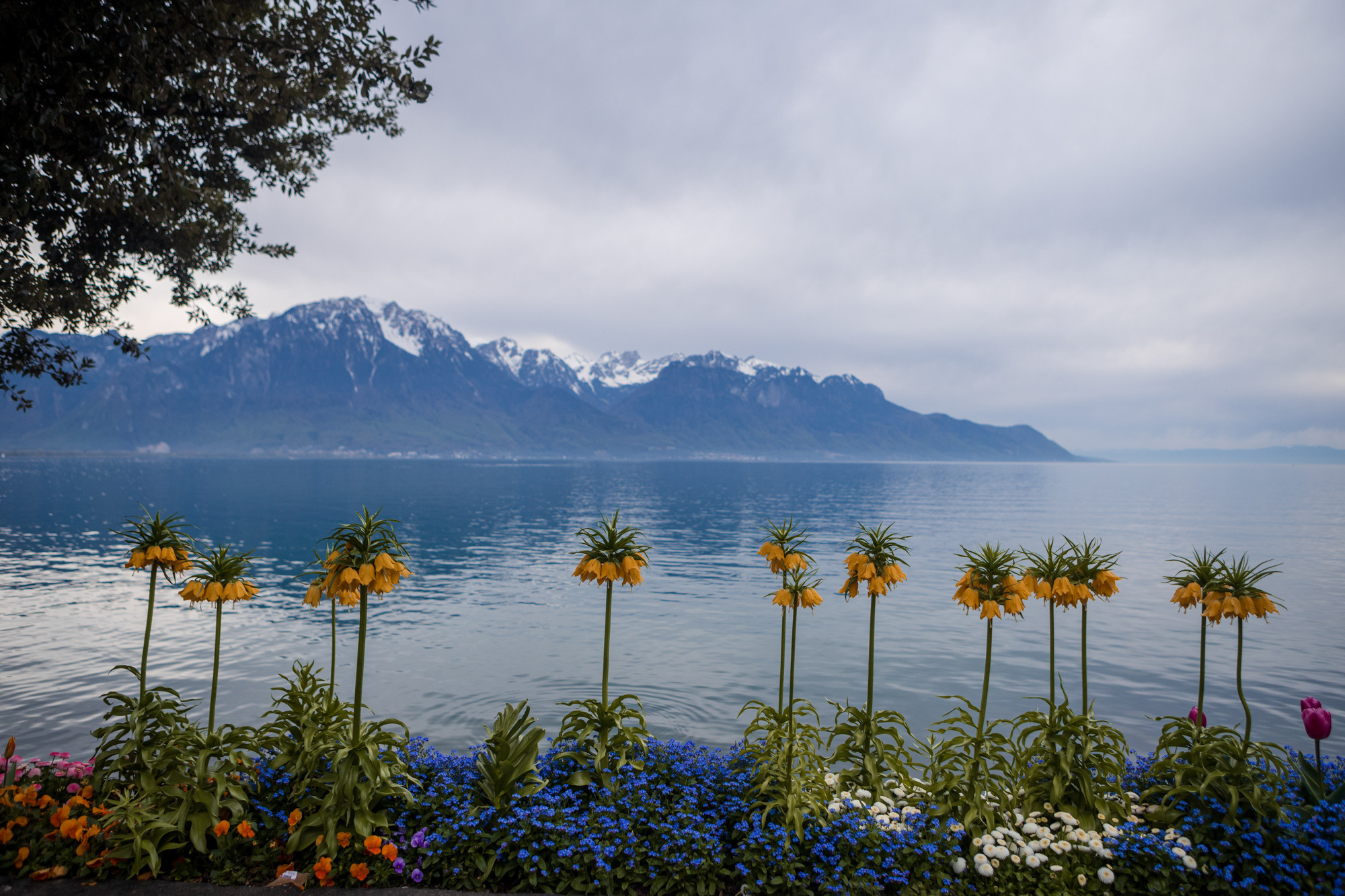 Babybauch Fotoshooting in der Schweiz. Fotograf in Freiburg, Meerim Kaufmann