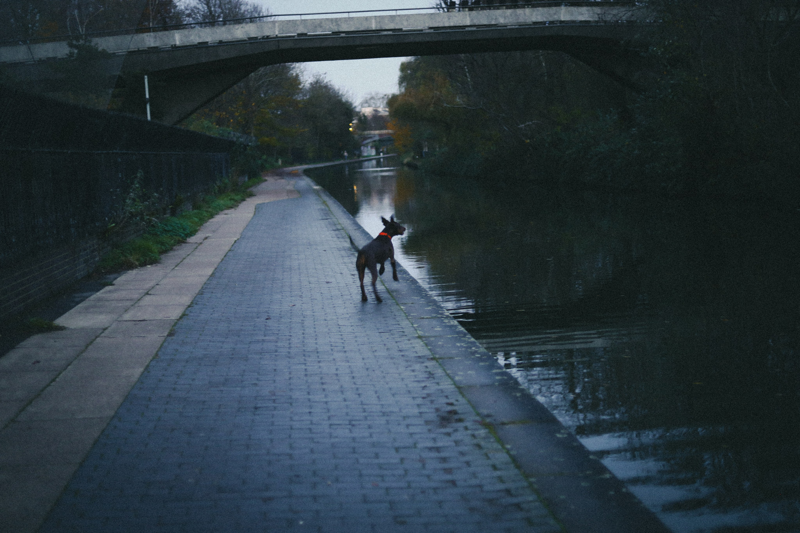 Regents Canal Vi. Виктория Дини. Арт-фотография