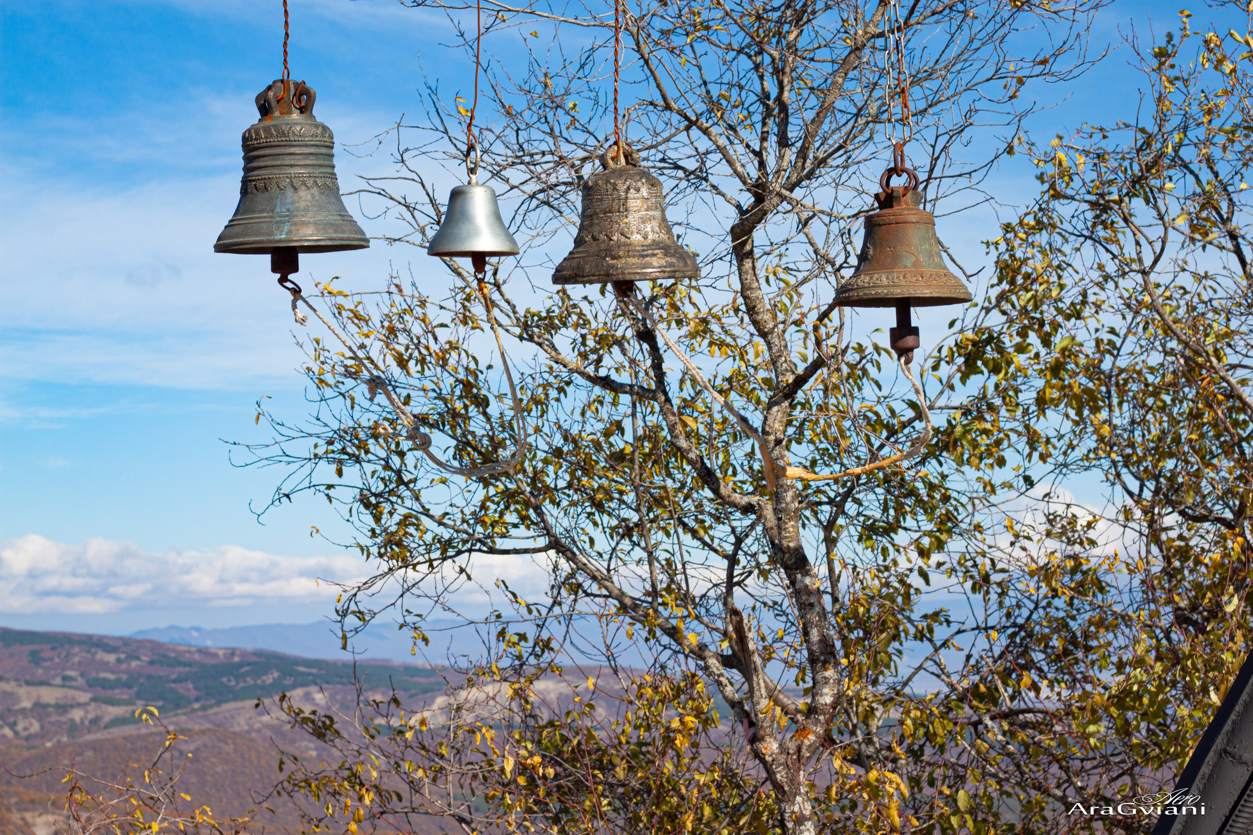 ჰიპოველოს შემოდგომის ველოტური წვერში. FramefreeMan