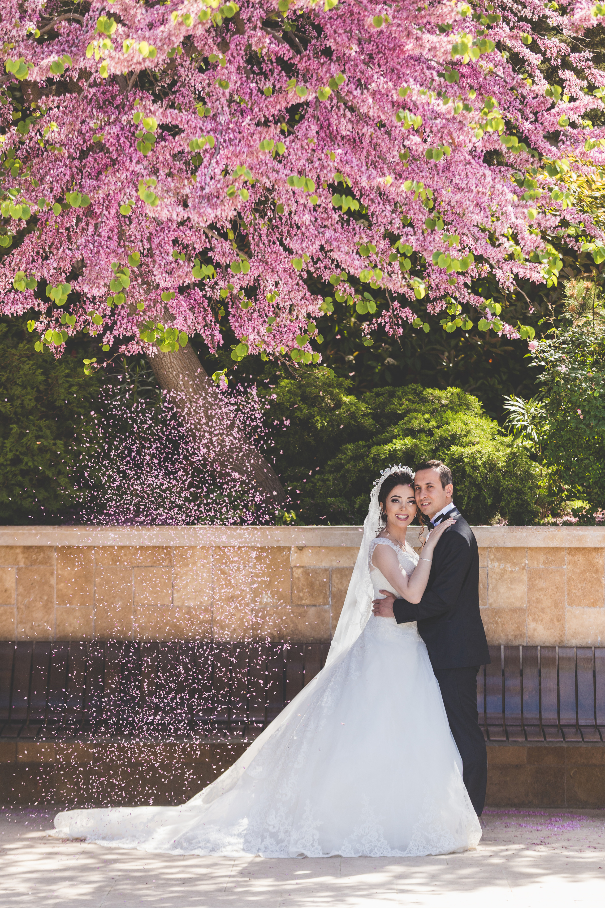 Свадебный и семейный фотограф в Баку Мамедов Мамед