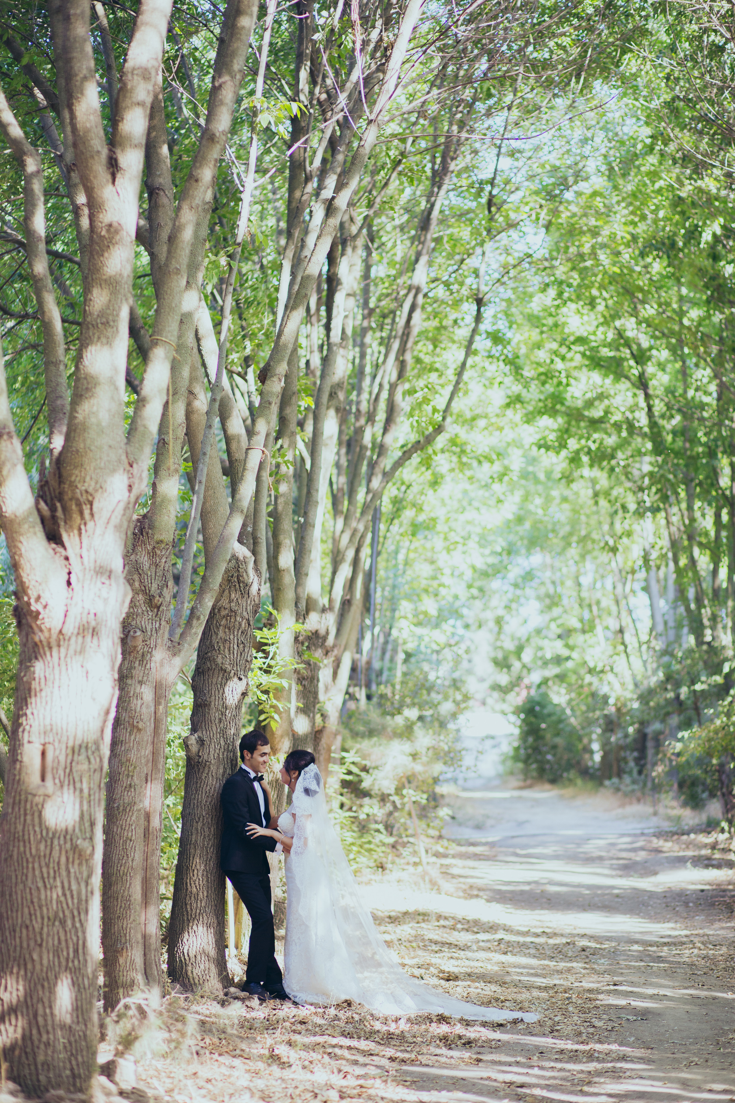 Свадебный и семейный фотограф в Баку Мамедов Мамед