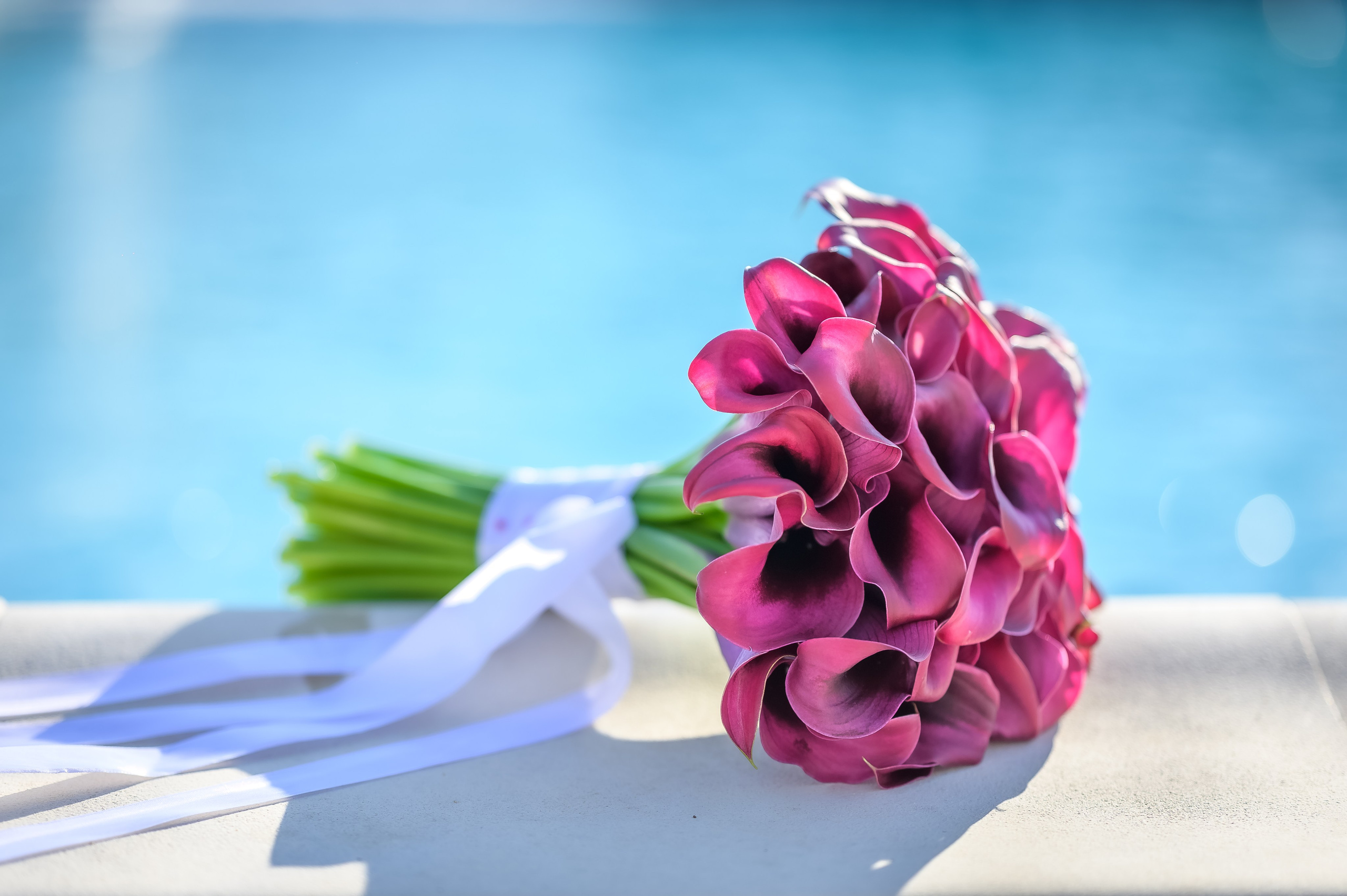 Nunta Lebada Neagra Resort – locatie premium evenimente