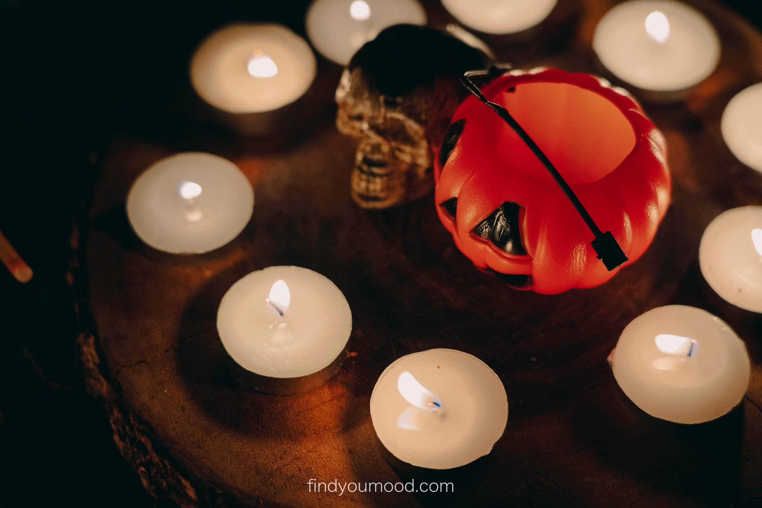 Halloween. Photo and video shooting