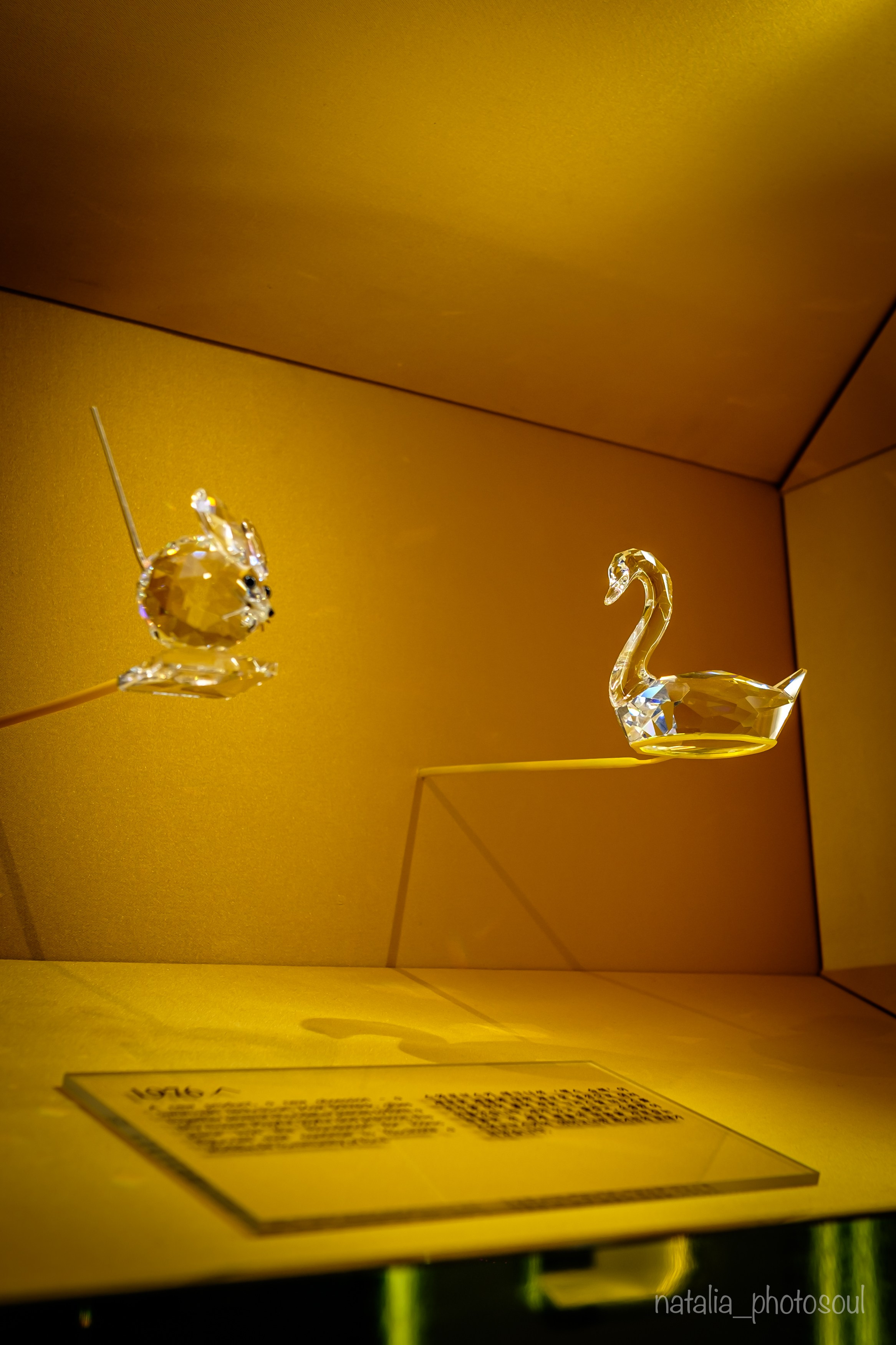 SWAROVSKI MASTERS OF LIGHT FROM VIENNA TO SEOUL. Photographer in Seoul Dobrokvashina Natalya