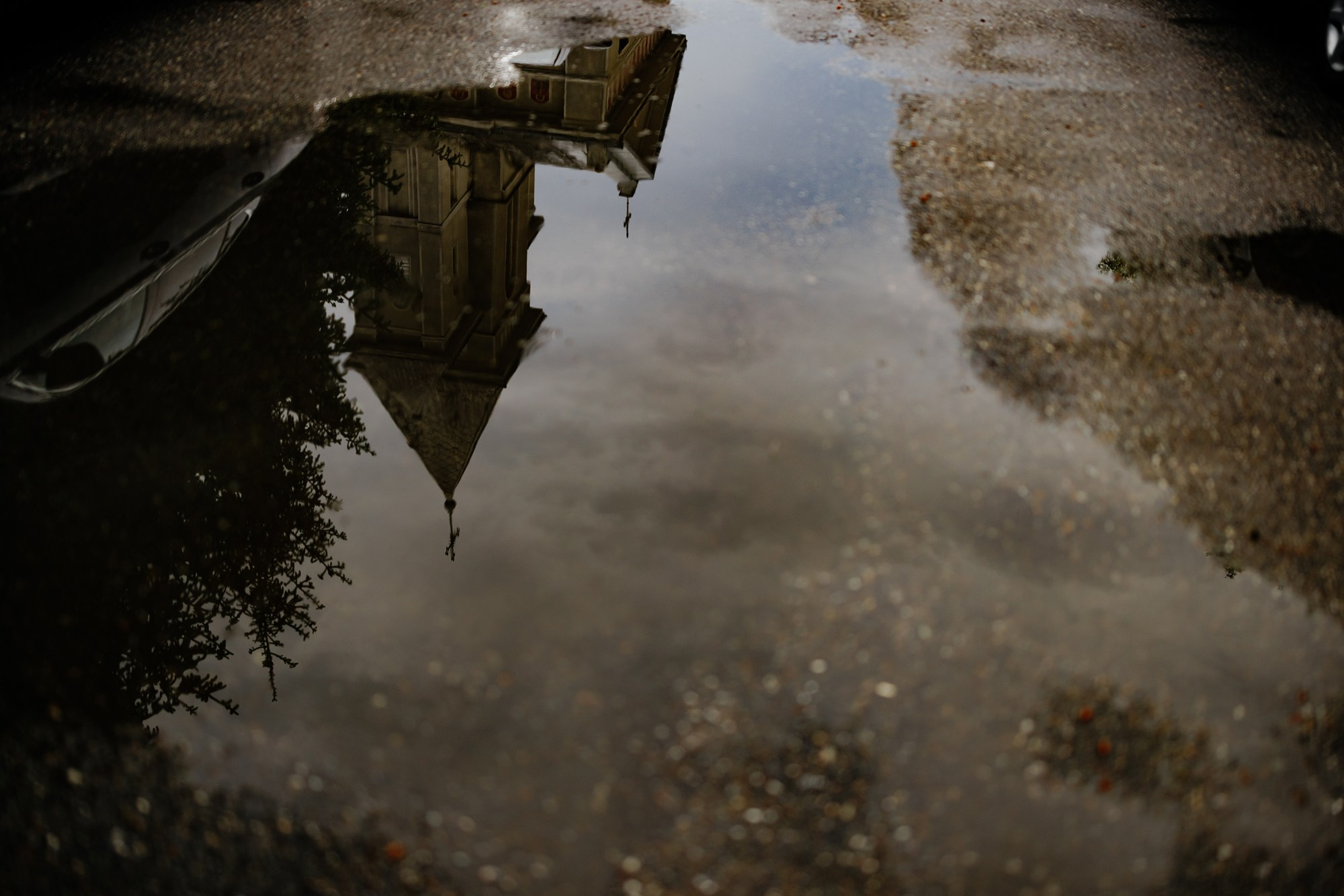 Andrei si Adelina. Wedding photographer and videographer