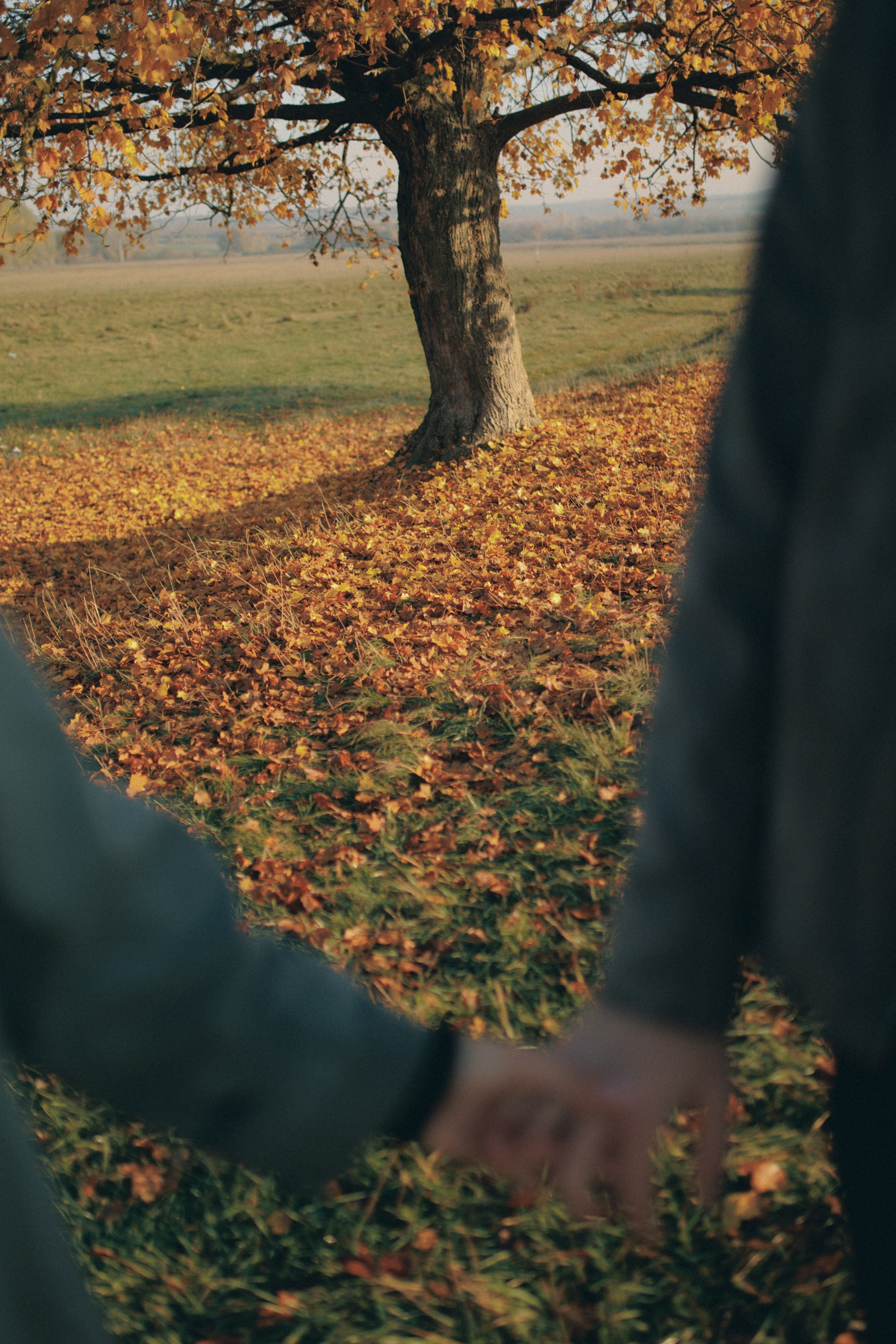 An autumn lovestory. Wedding photographer and videographer based in Timisoara, Romania