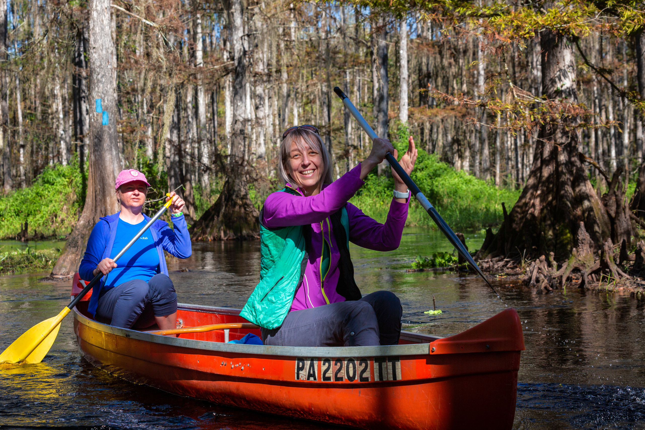 Alligators, Birds And Cypress. Alex Mironyuk Photography