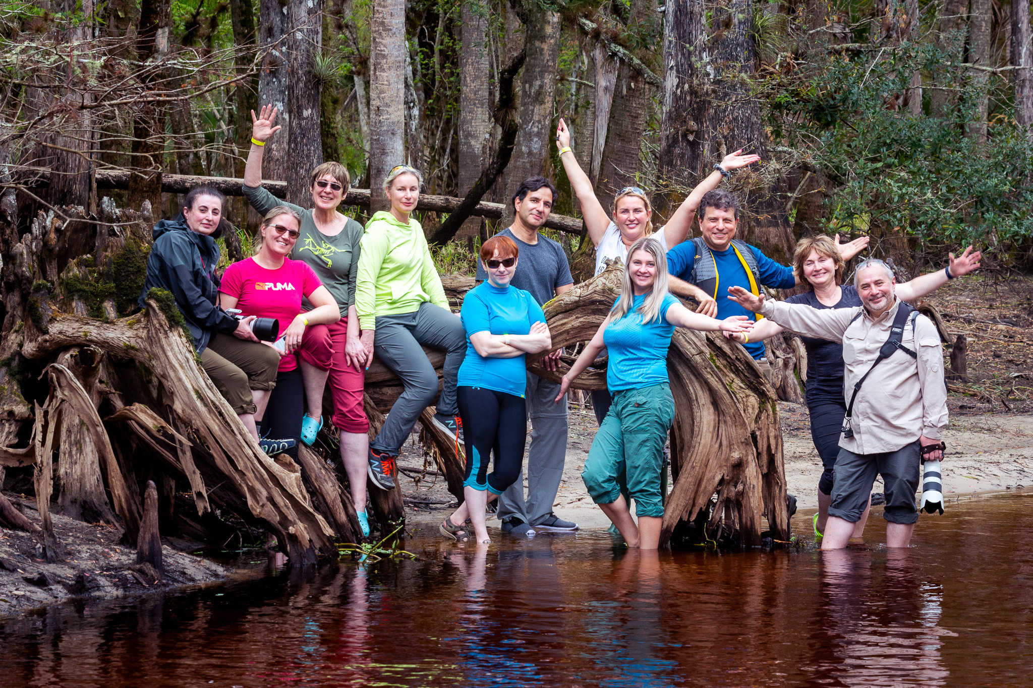Alligators, Birds And Cypress. Alex Mironyuk Photography