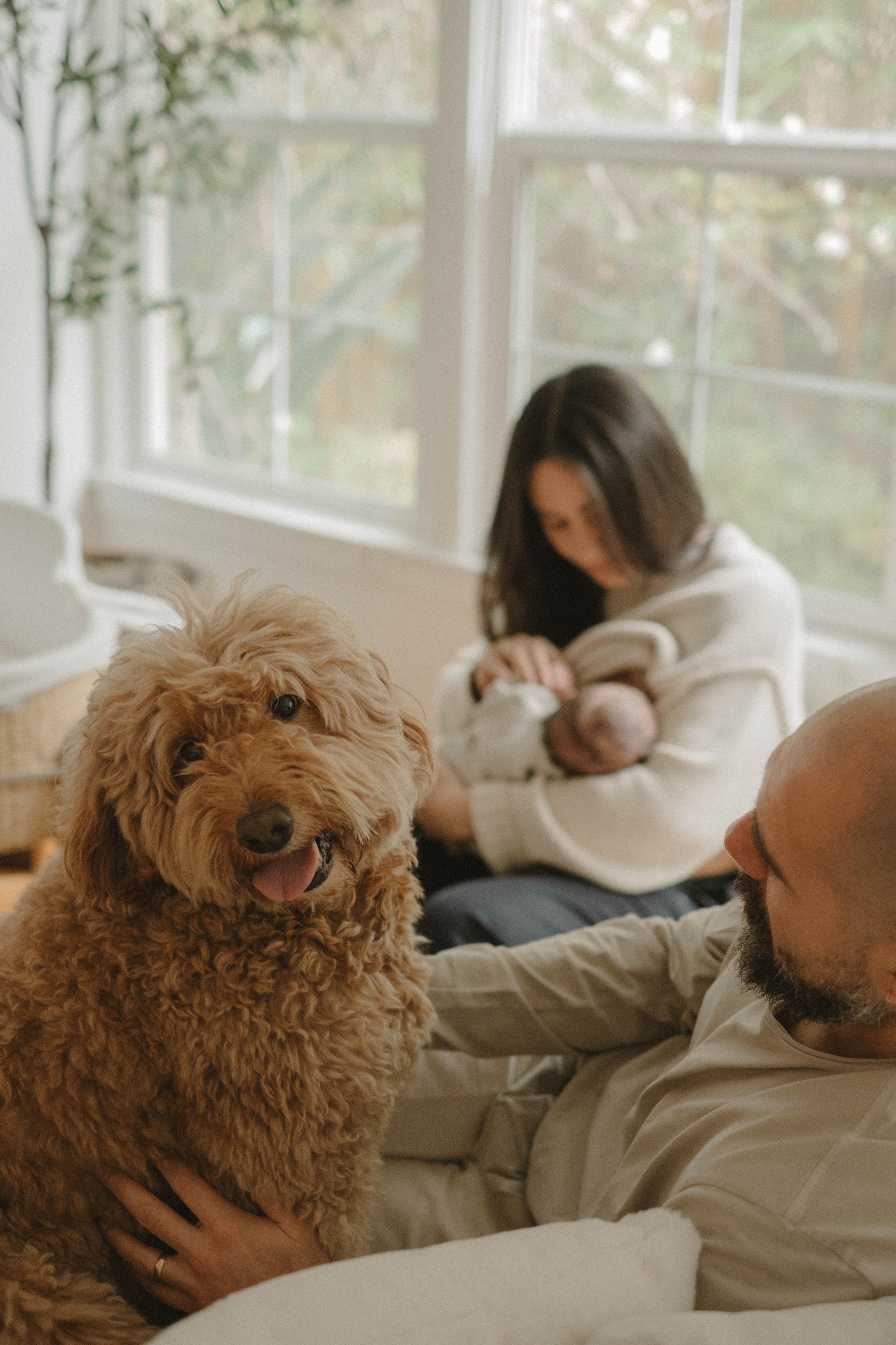 Newborn Session at Home. Xenia California & LA Photographer